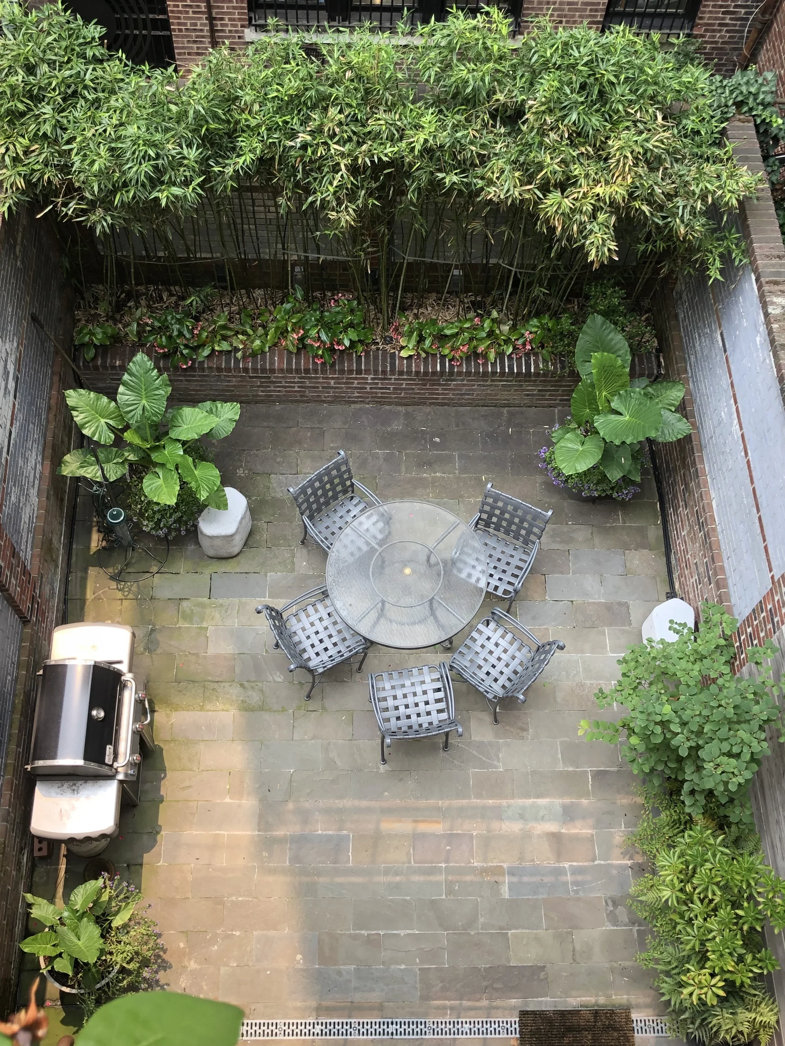 Upper East Side backyard