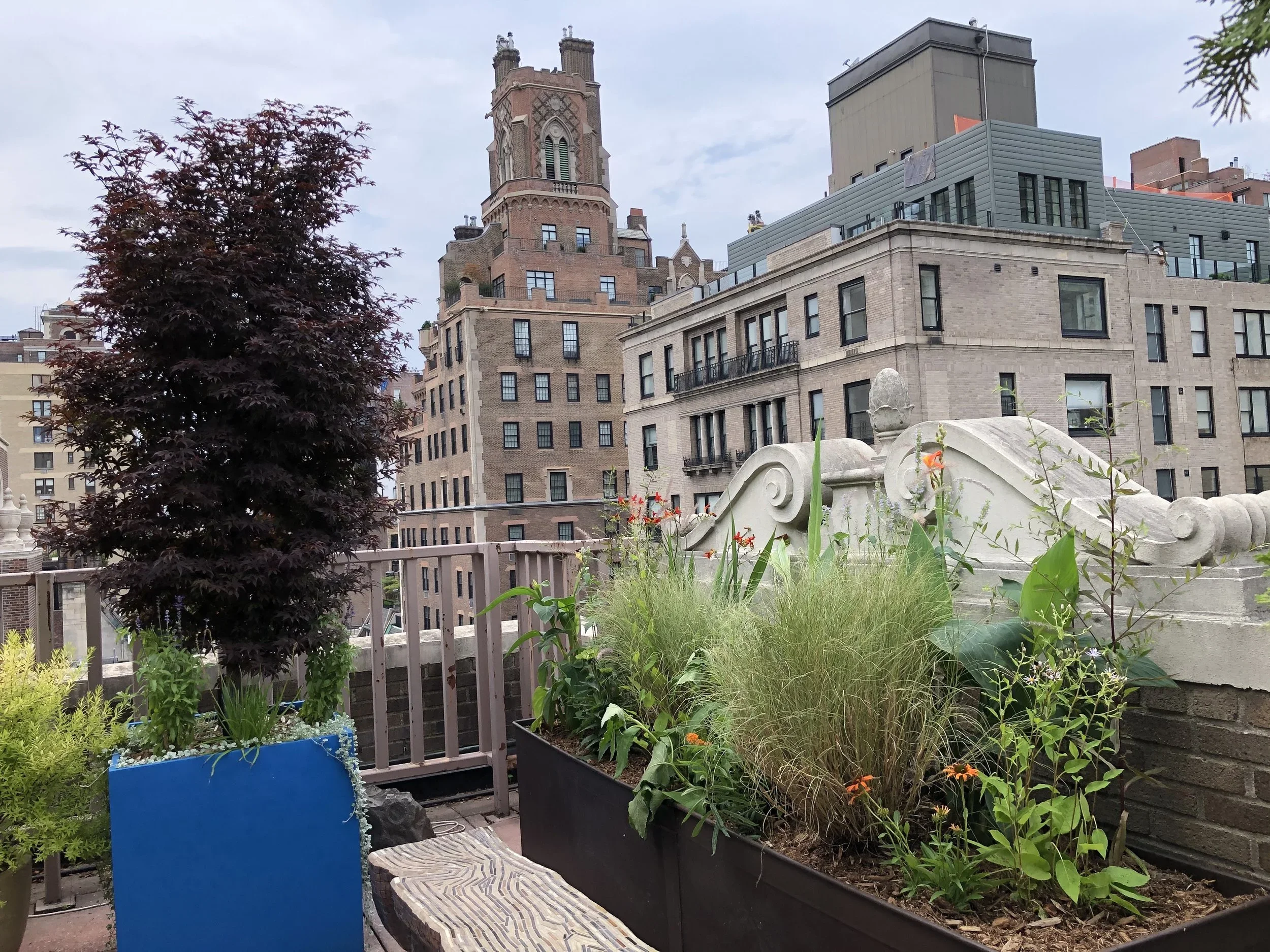 Upper East Side wildflower display