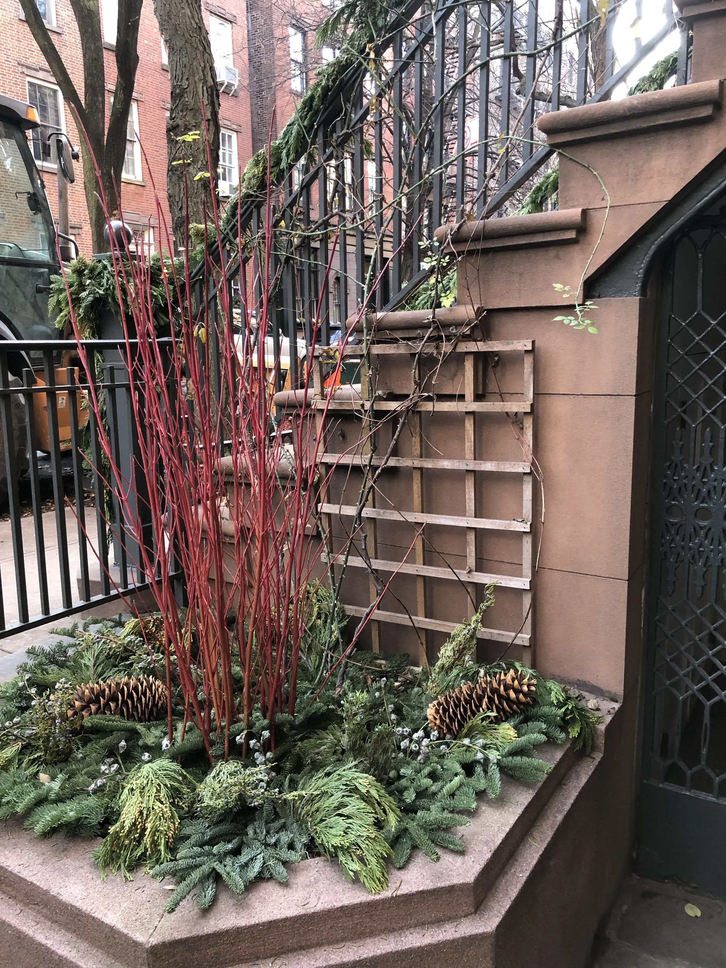 West Village front yard