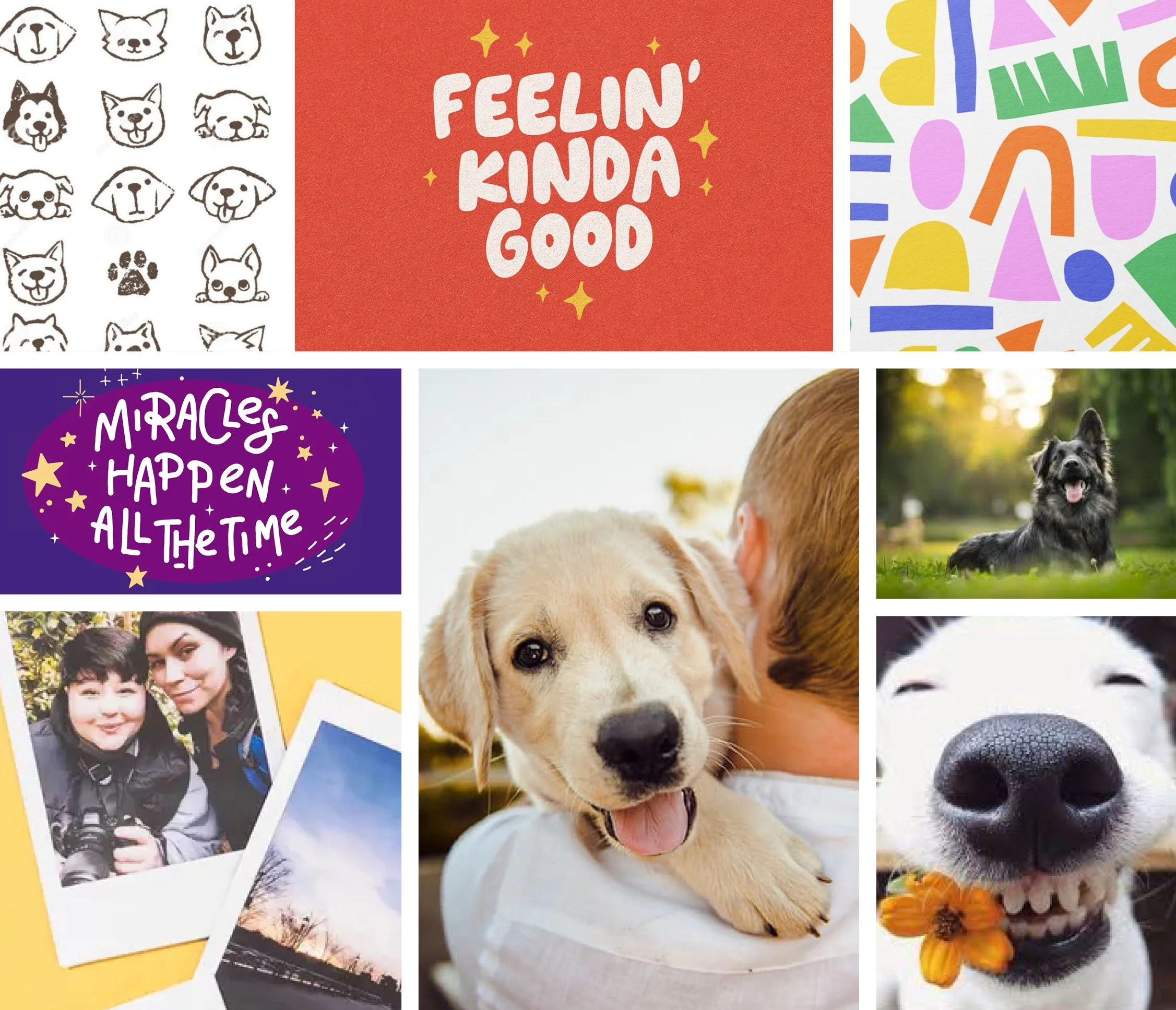 Grid of colorful design and illustration pieces, including greeting cards and animal photography.