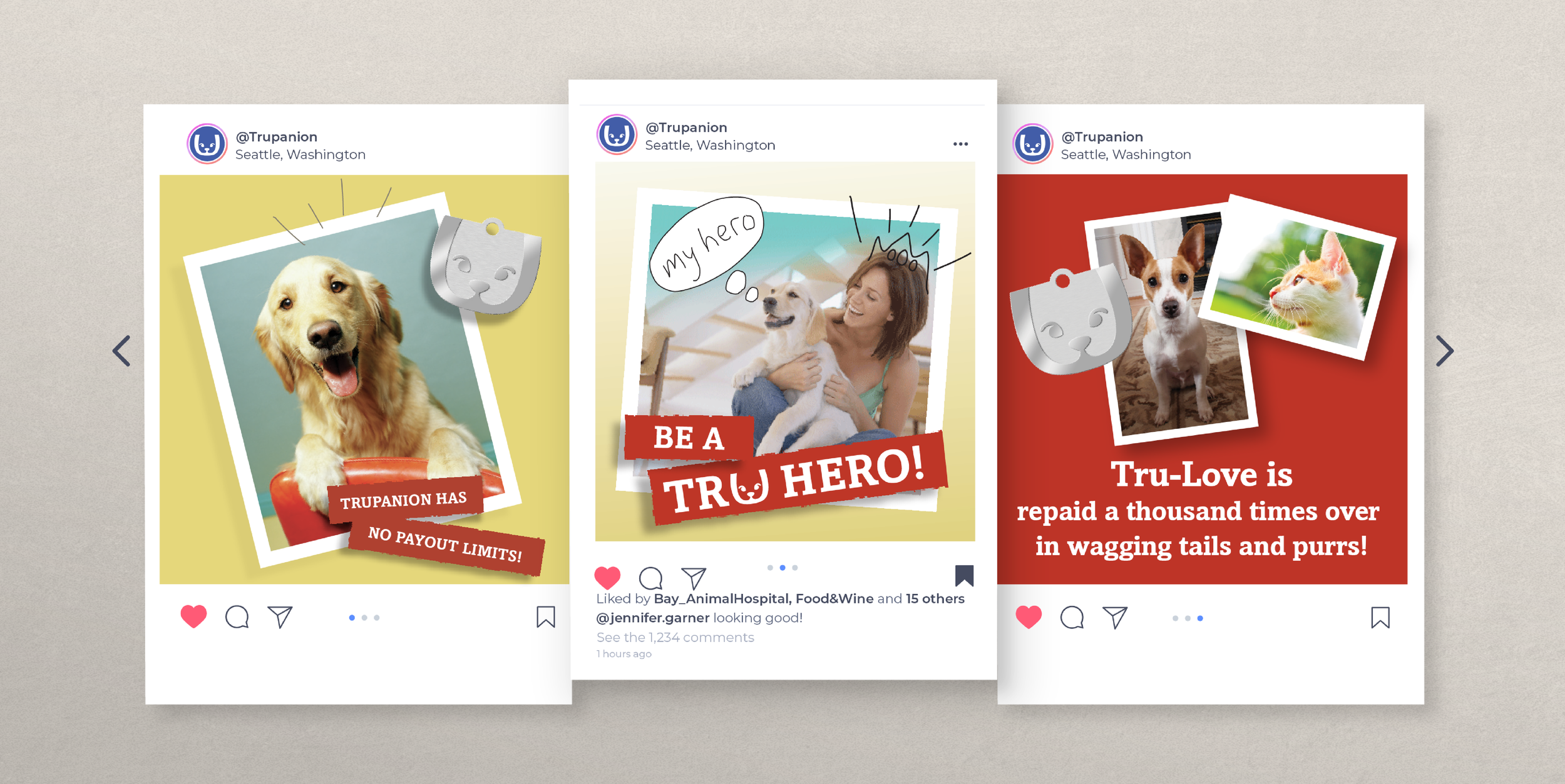 lomax-creative-social-media-Insta-Dogs-design.png