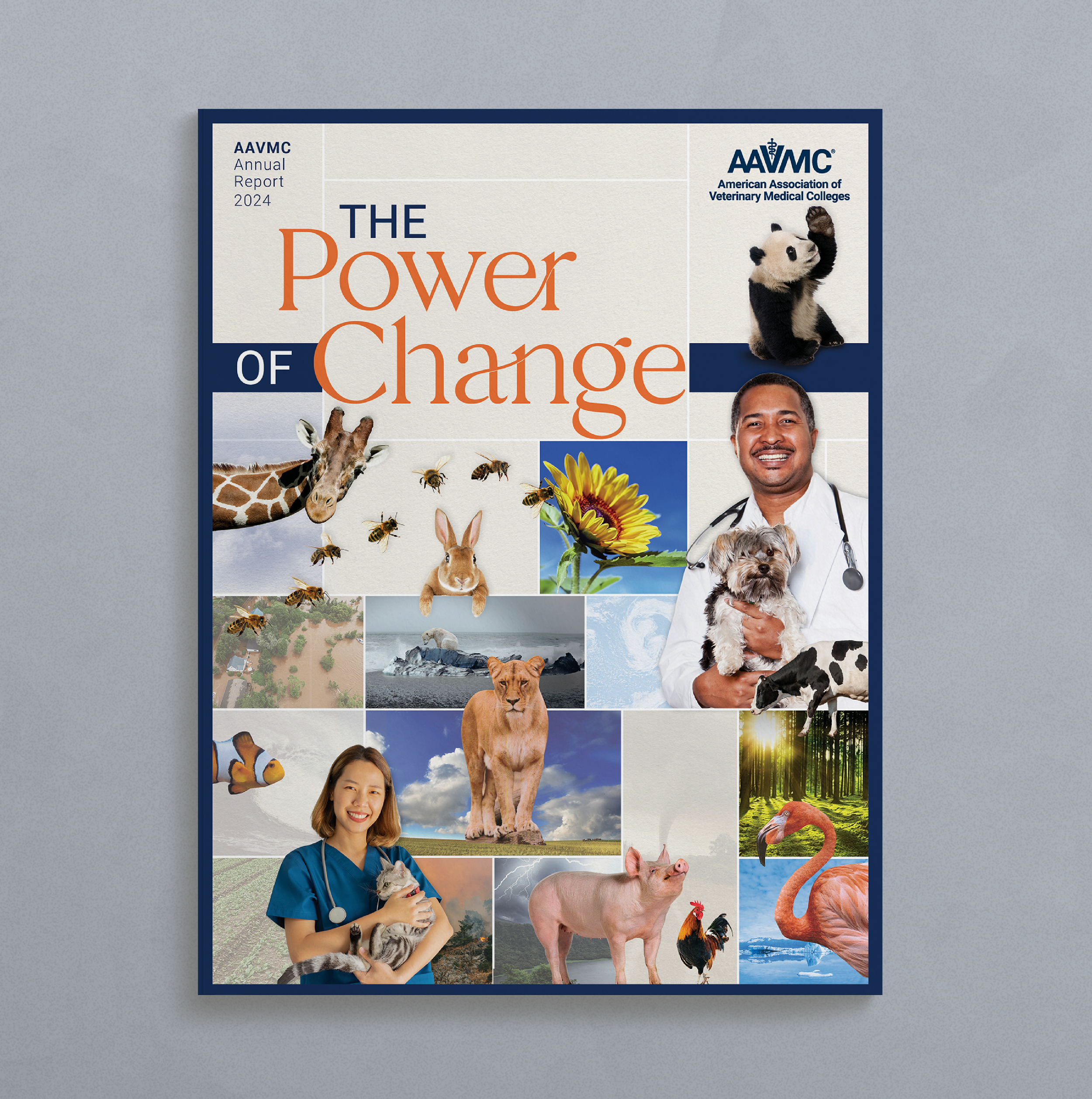 2_Gallery_lomax-creative-nonprofit-Annual-Report_Design.webp