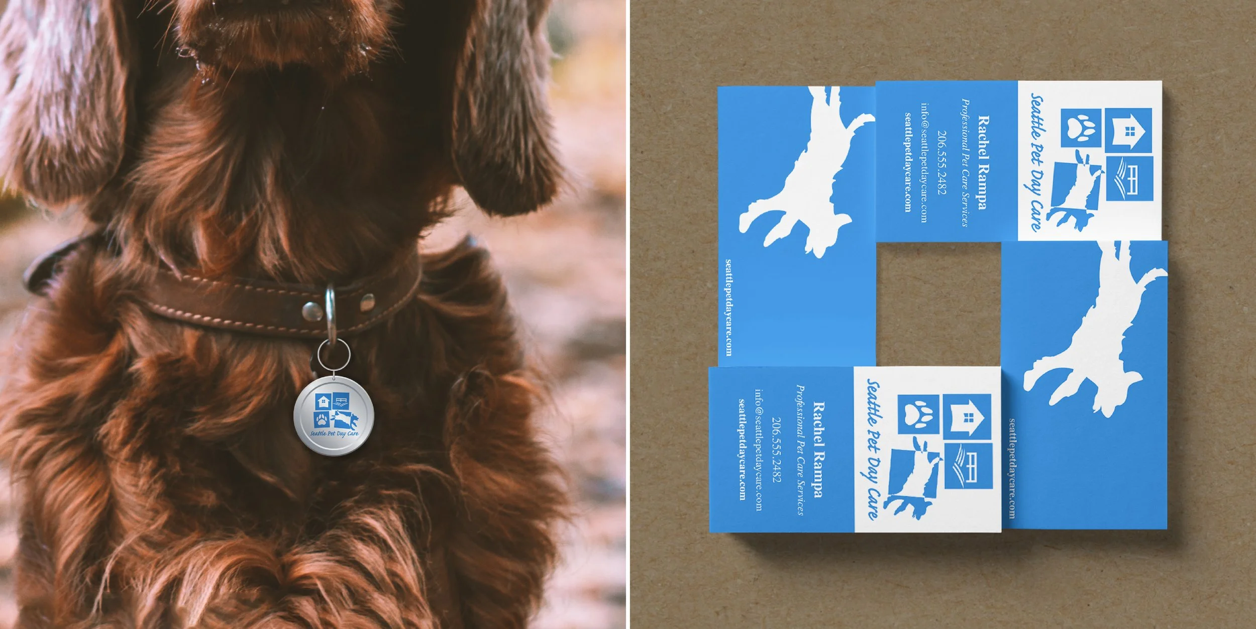 lomax-creative-branding-logo-design-Seattle_Pet_Daycare.jpg