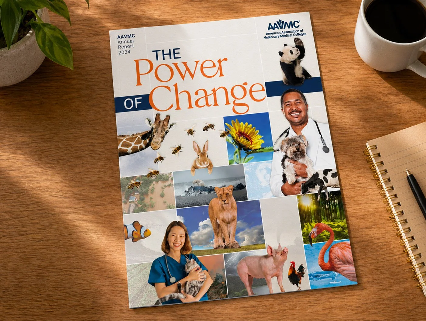 4_Gallery_lomax-creative-white paper-dossier-designer_report designer.webp.jpg