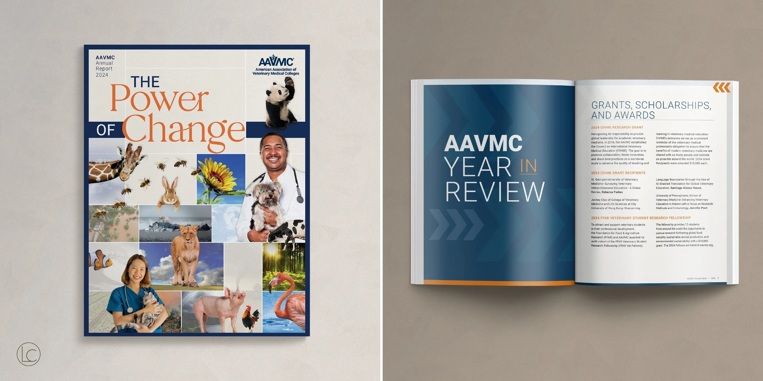 The American Association of Veterinary Medical Colleges (AAVMC) Annual report design