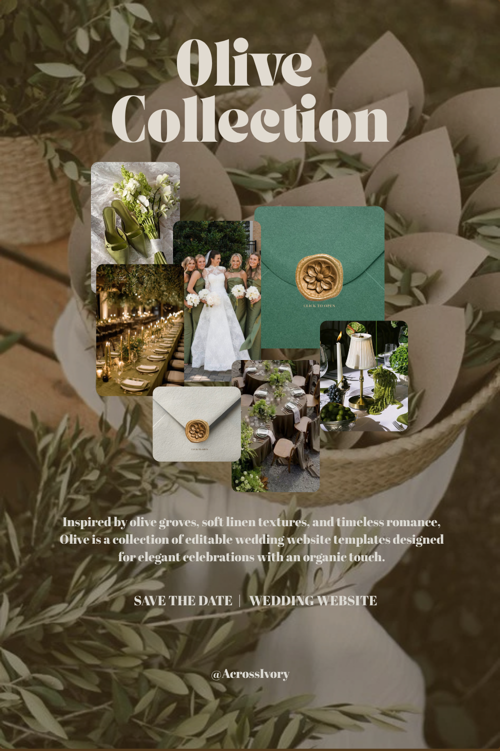 Pinterest - Olive.png