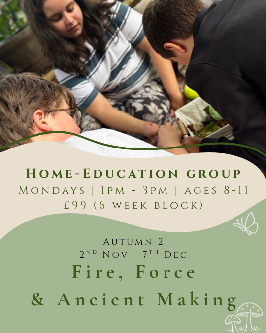 Home Education | Ages 8-11 | 2nd Nov - 7th Dec | 1pm-3pm