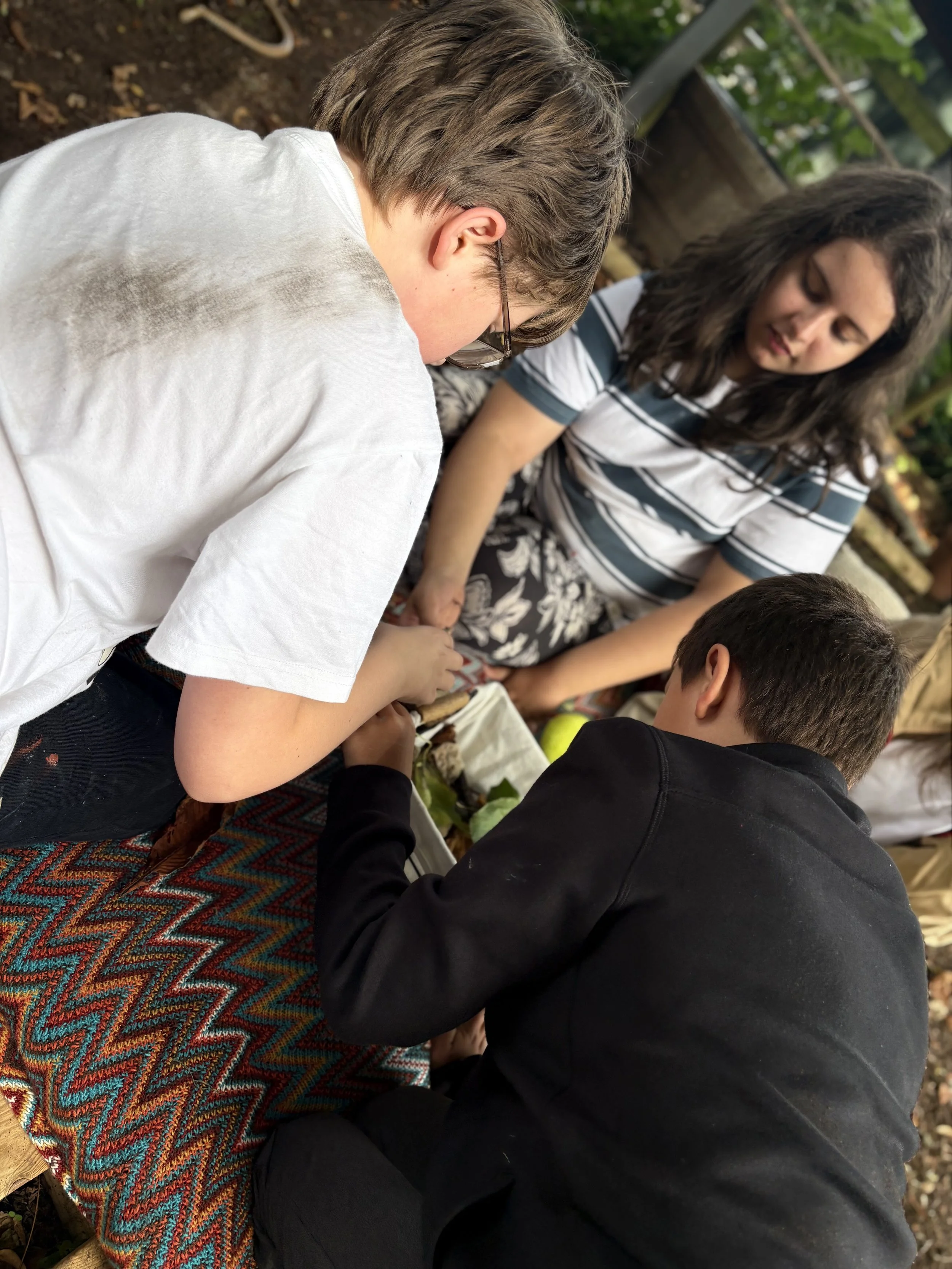 Home educated children exploring natural materials together during an outdoor learning session at Our Wild Space in Cheshire