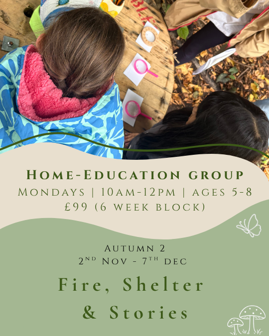 Home Education | Ages 5-8 | 2nd Nov - 7th Dec | 10am-12pm