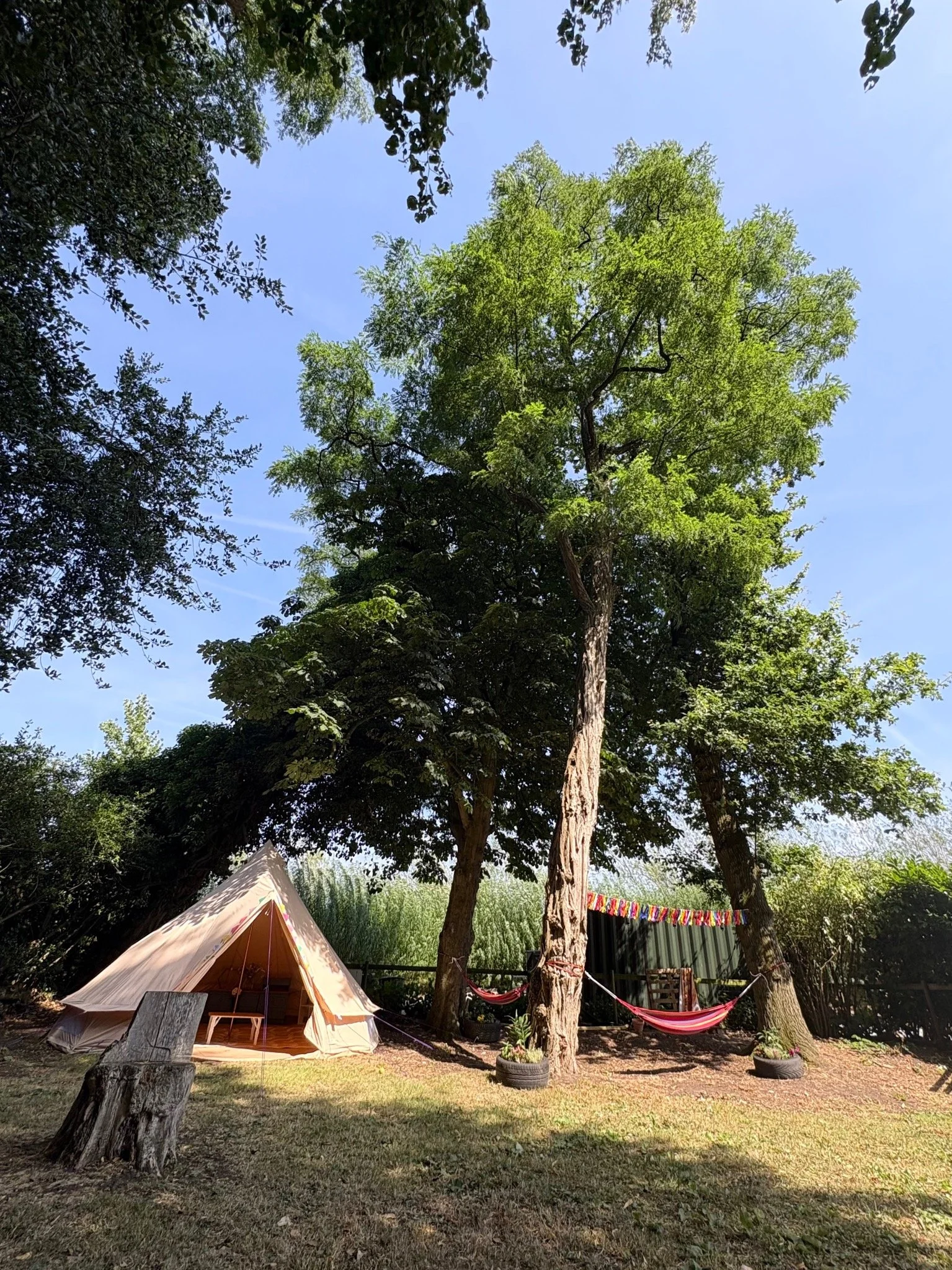Bell tent and nature-based play area at Our Wild Space in Great Budworth, Cheshire