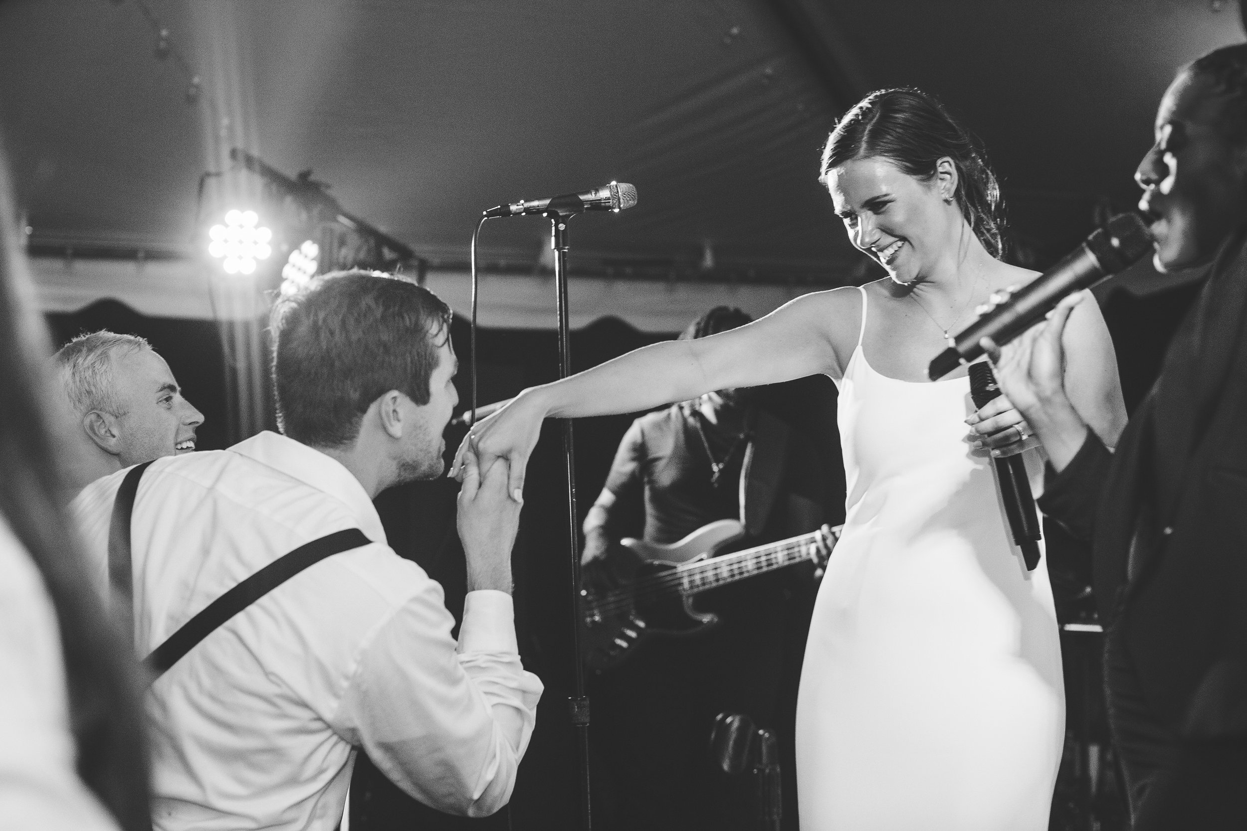 ShelbyandAndrew::CommonDove::E478.jpg
