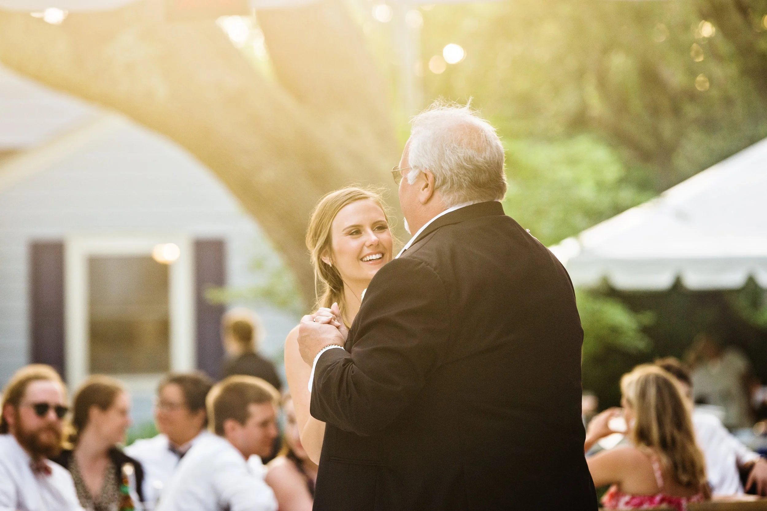ShelbyandAndrew::CommonDove::E120.jpg