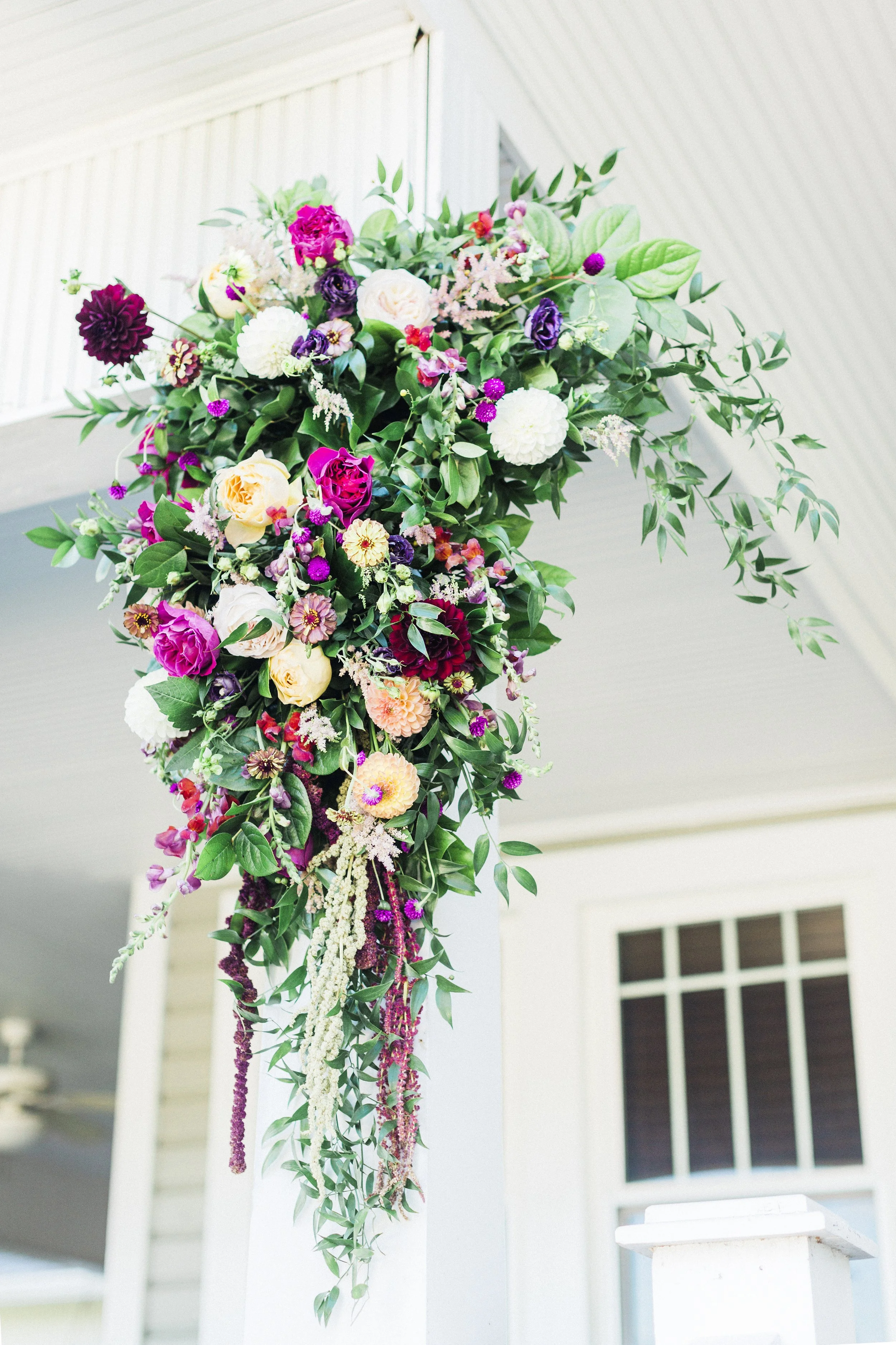 MeganandGarrett:CommonDove:B98.jpg