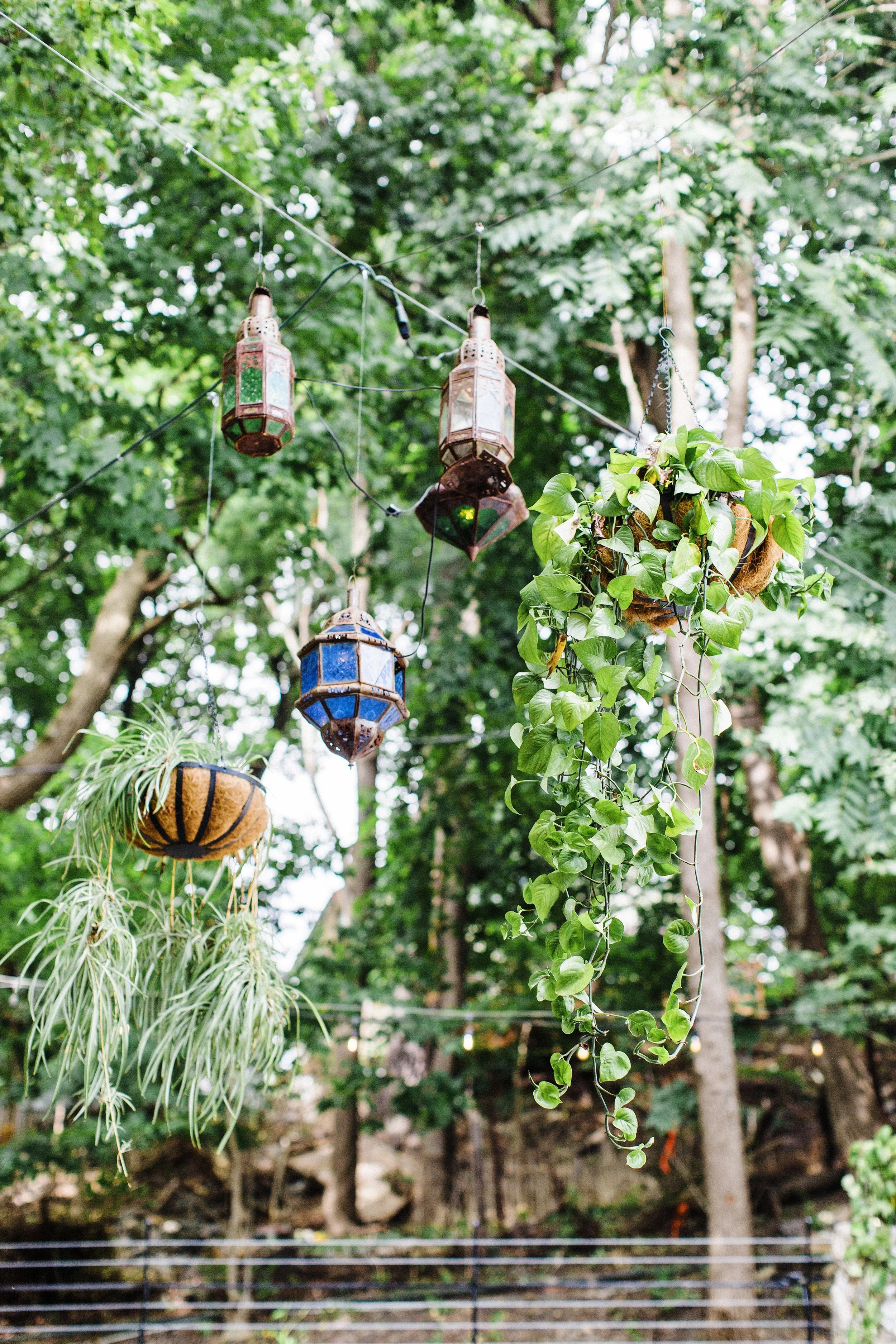 Kelsey+Joe-CommonDove127.jpg