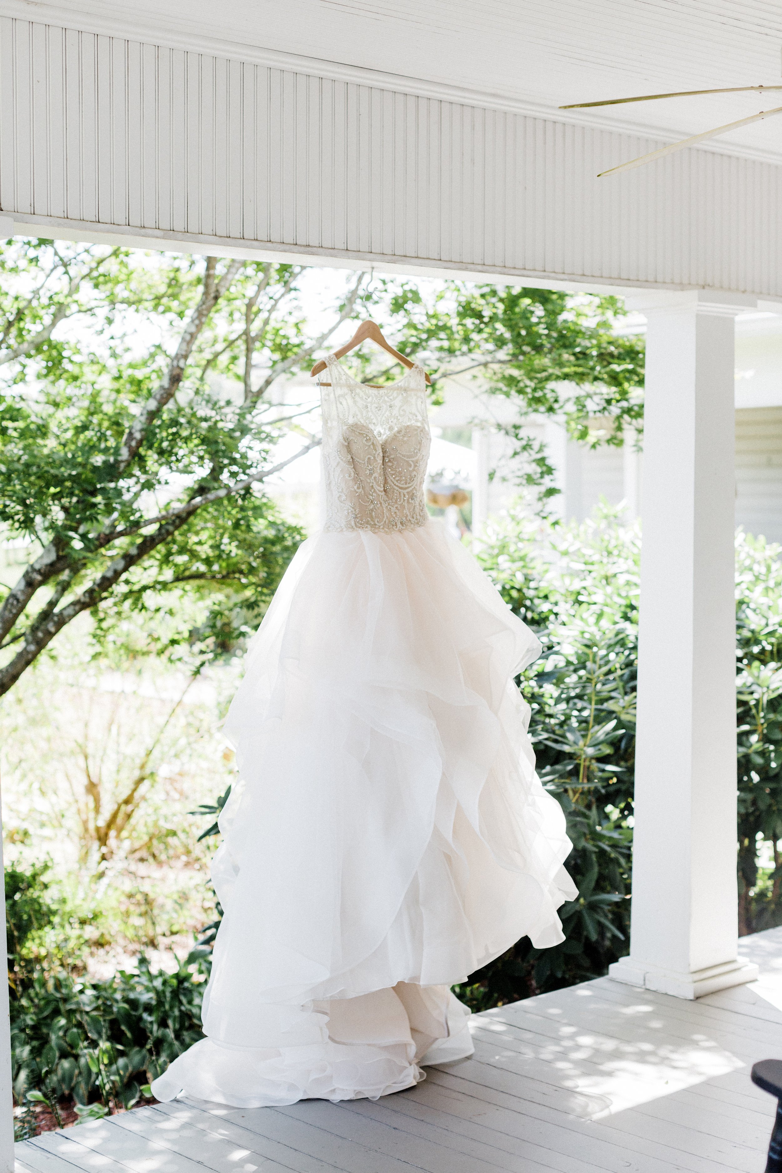 MeganandGarrett:CommonDove:B68.jpg