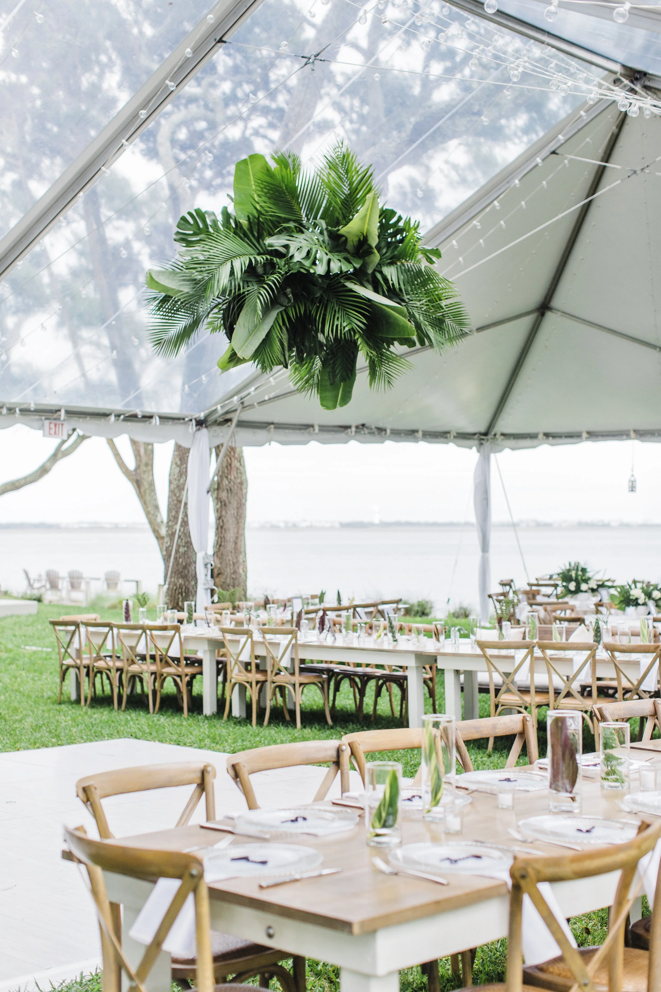 ShelbyandAndrew::CommonDove::B94.jpg