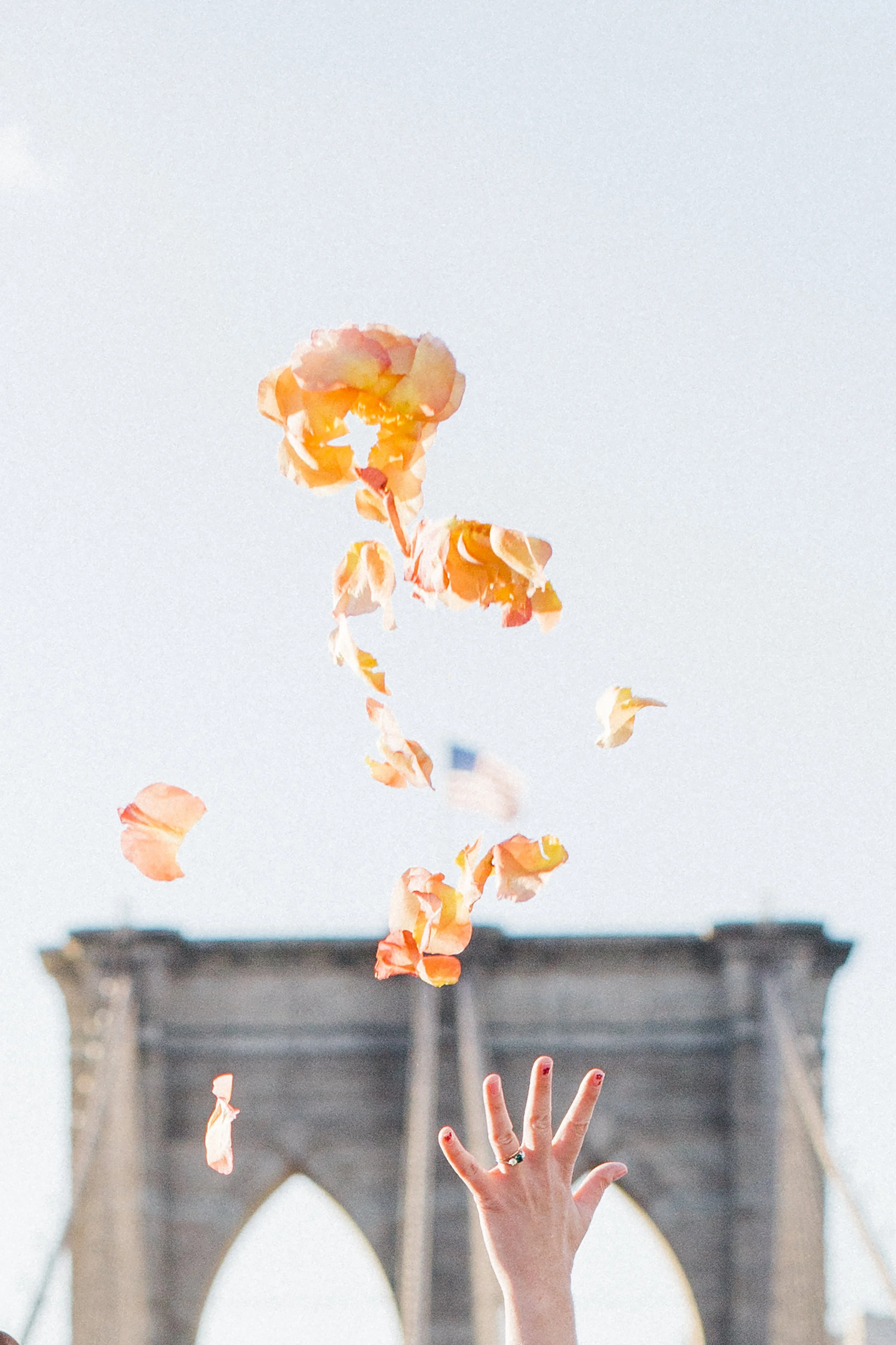 Kaitlyn &  Joe / Brooklyn NY