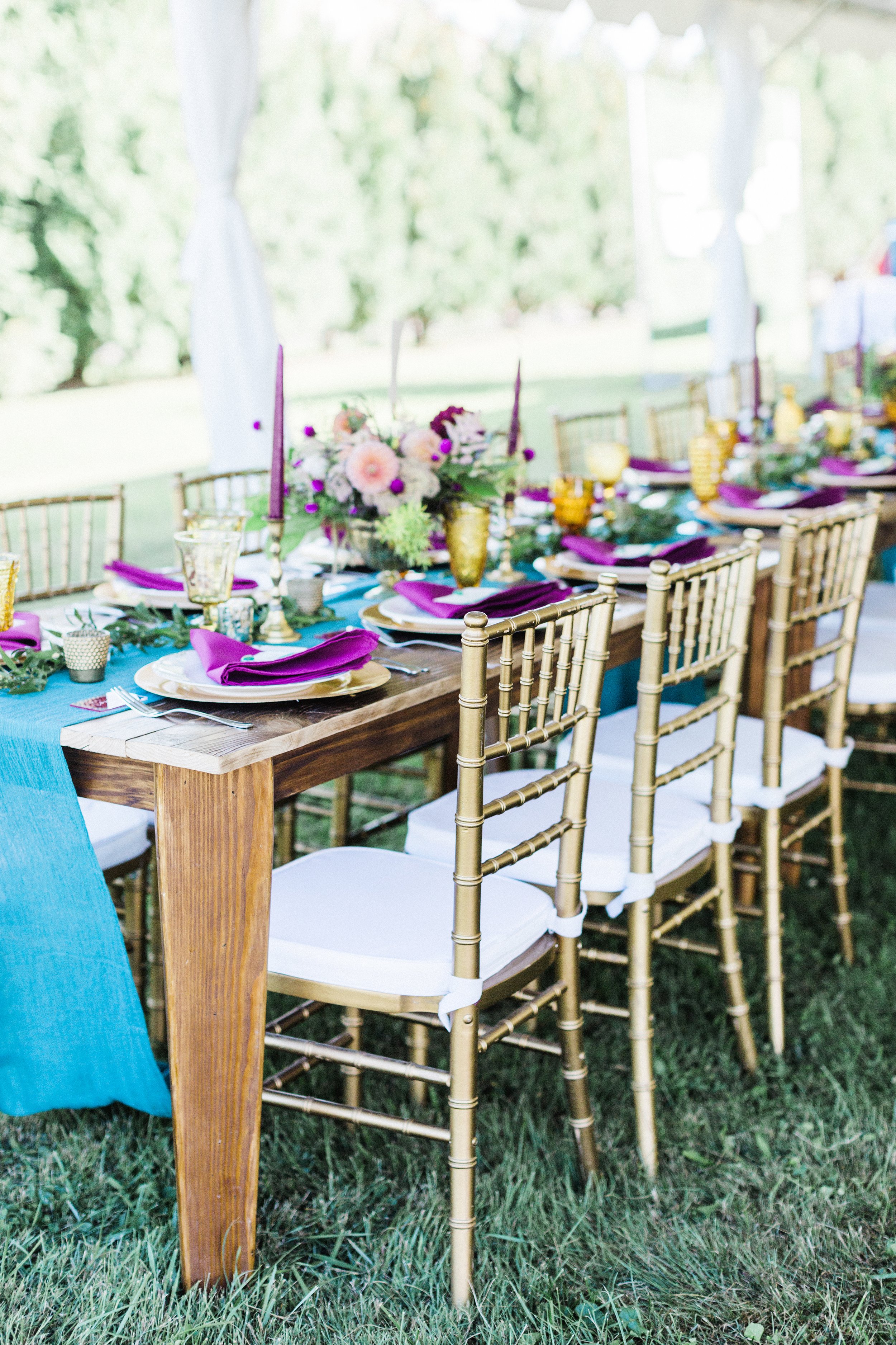 MeganandGarrett:CommonDove:B122.jpg