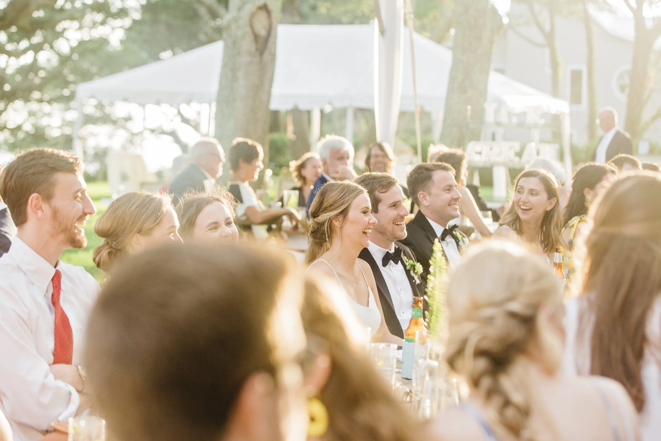 ShelbyandAndrew::CommonDove::E38.jpg