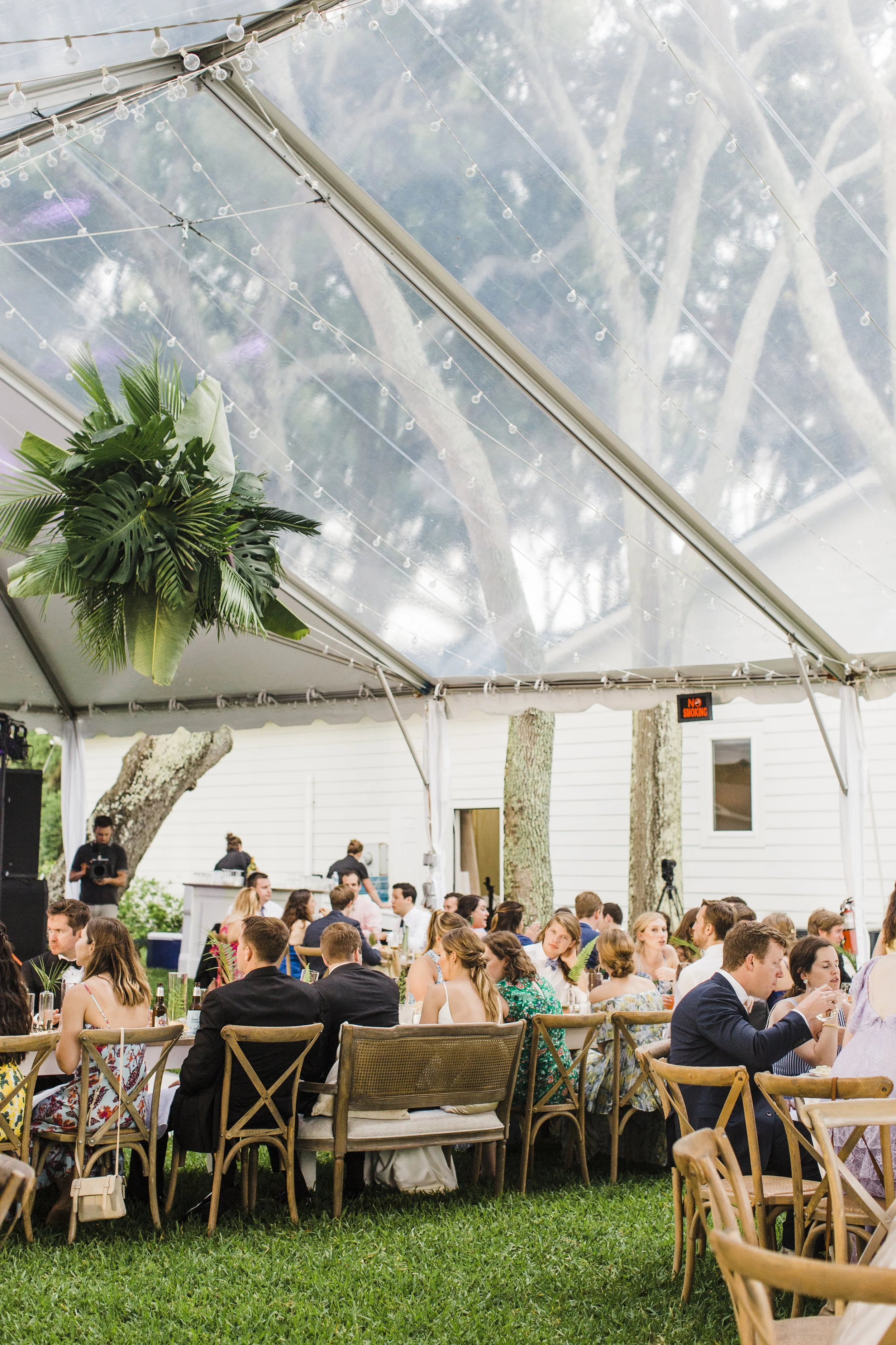 ShelbyandAndrew::CommonDove::E19.jpg