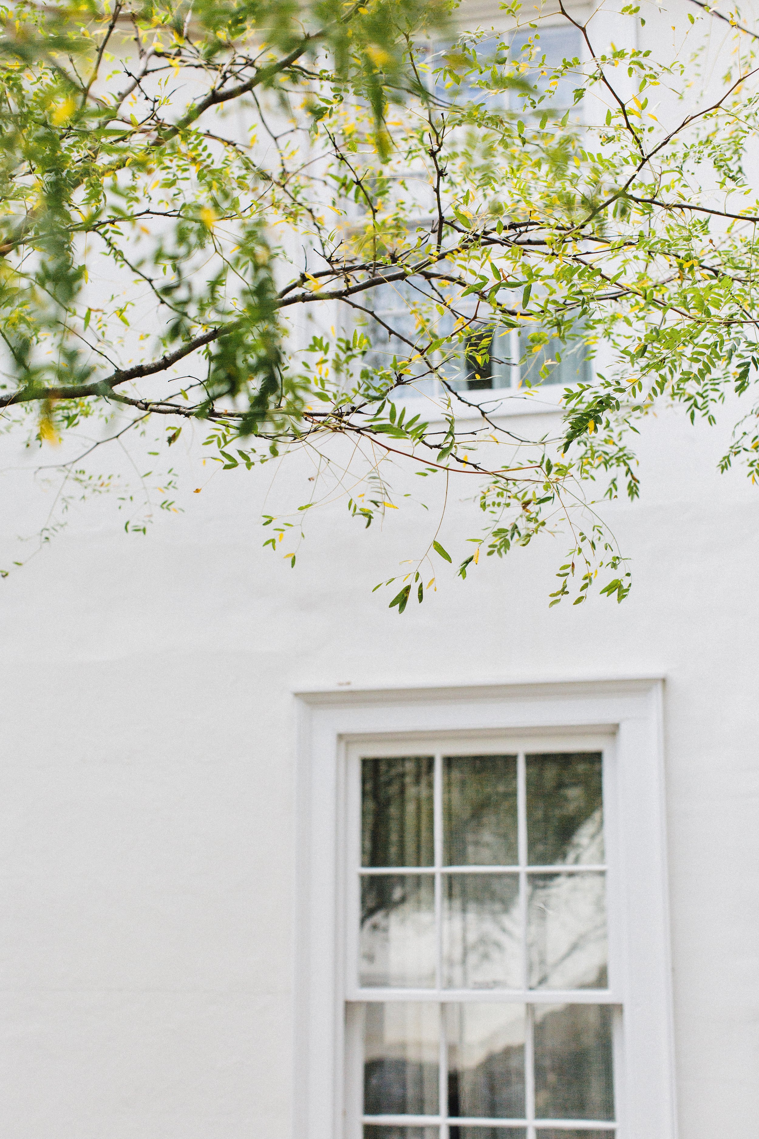 Kelsey+Joe-CommonDove85.jpg