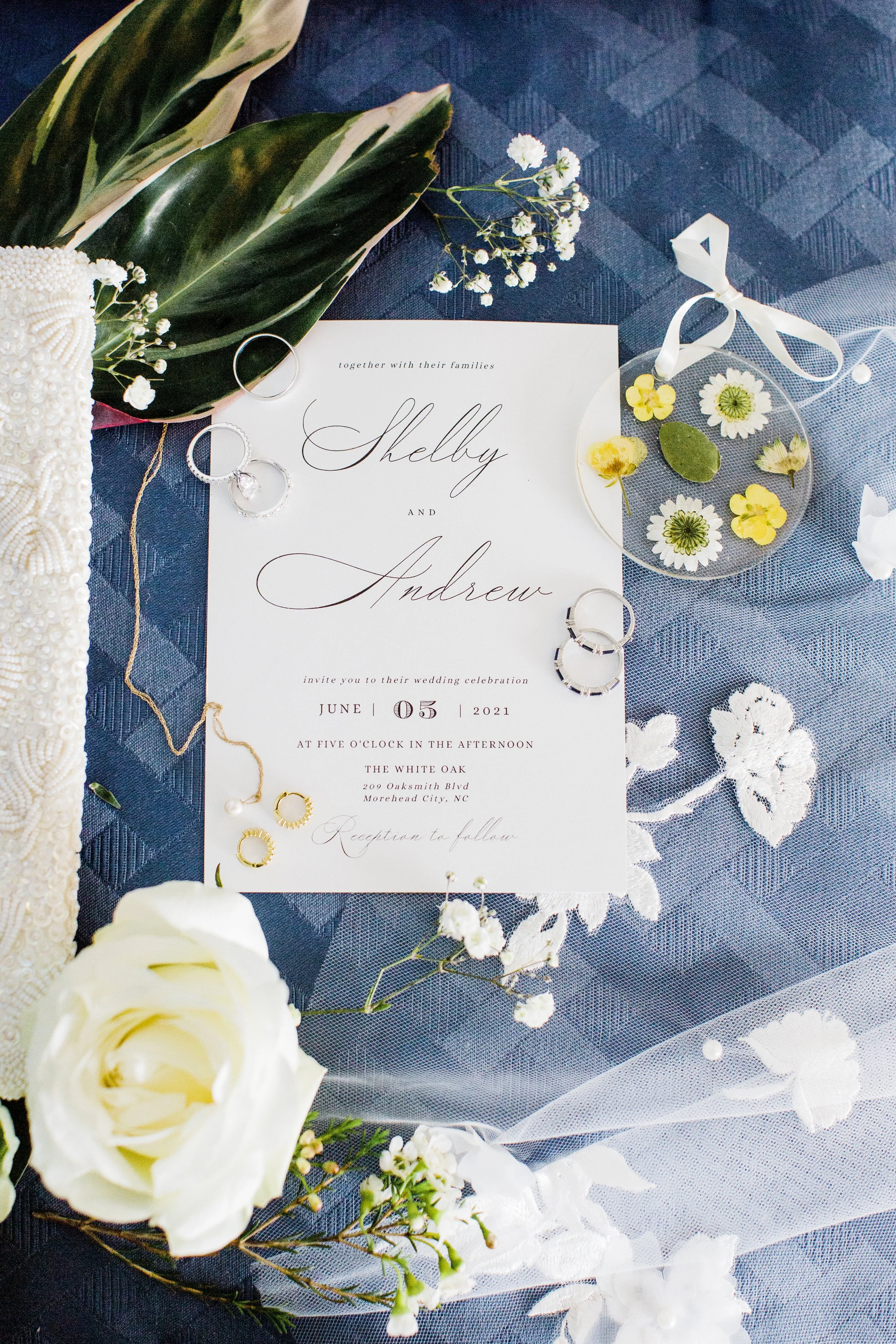 ShelbyandAndrew::CommonDove::B29.jpg