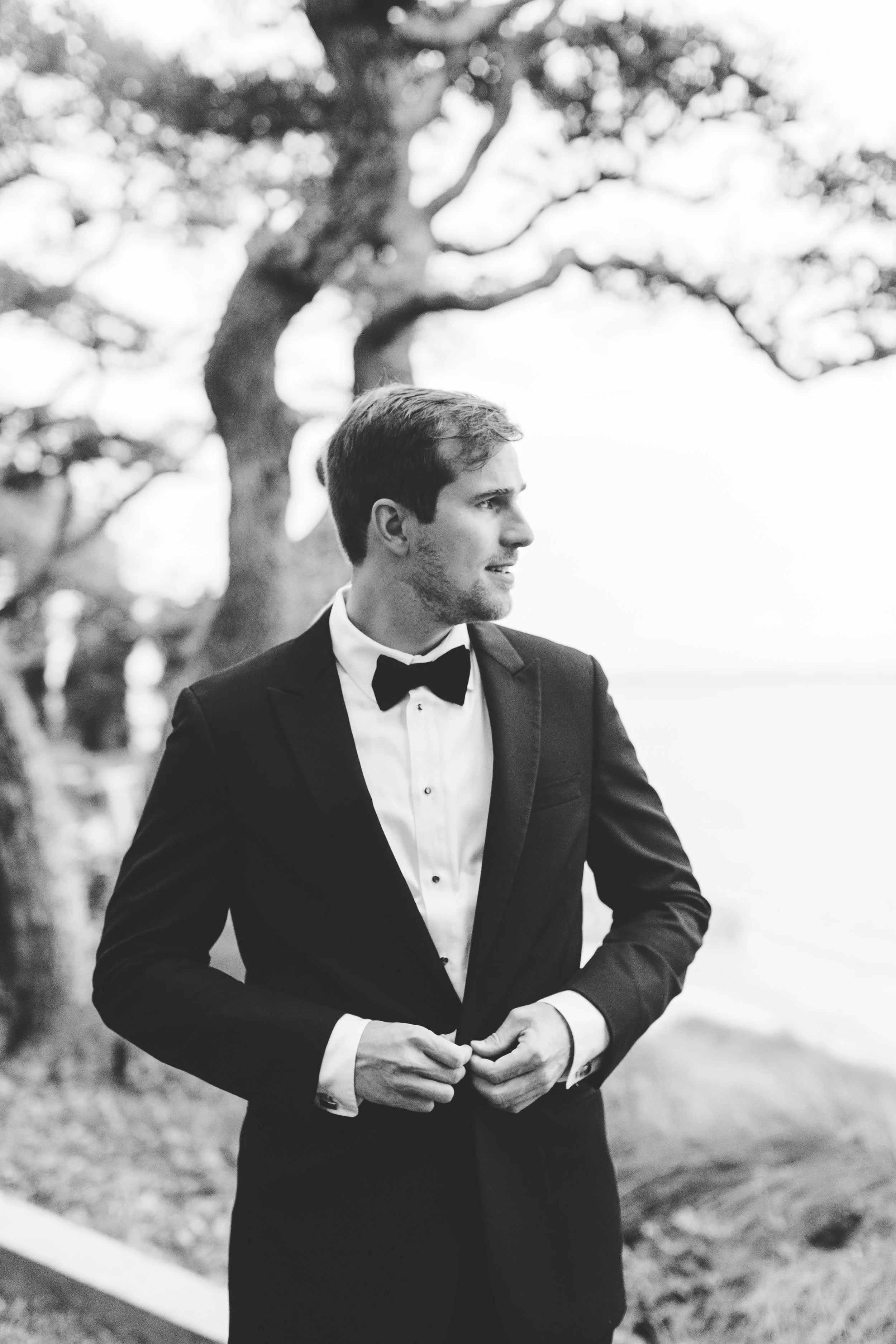 ShelbyandAndrew::CommonDove::D95.jpg