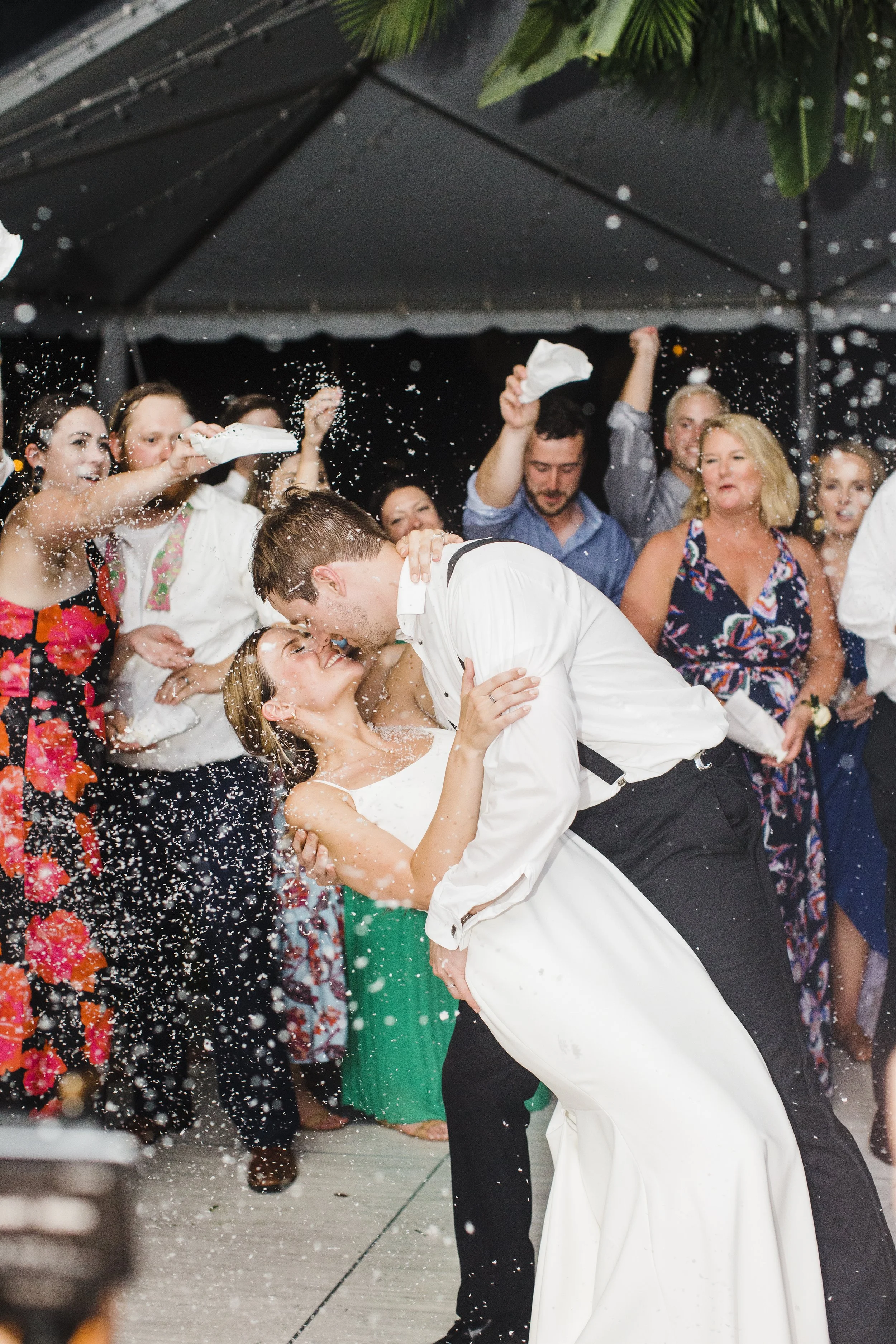 ShelbyandAndrew::CommonDove::E523.jpg