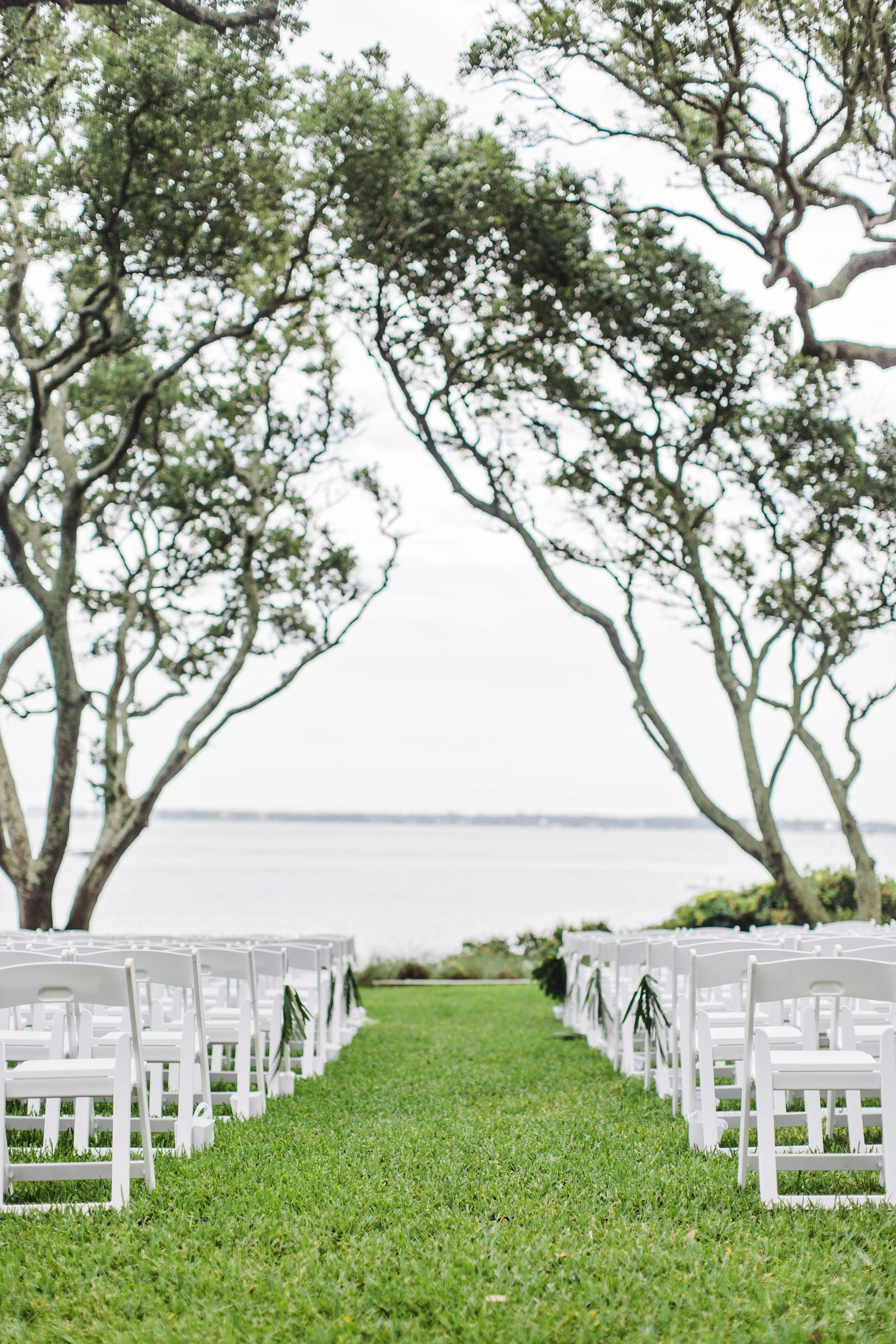 ShelbyandAndrew::CommonDove::B63.jpg