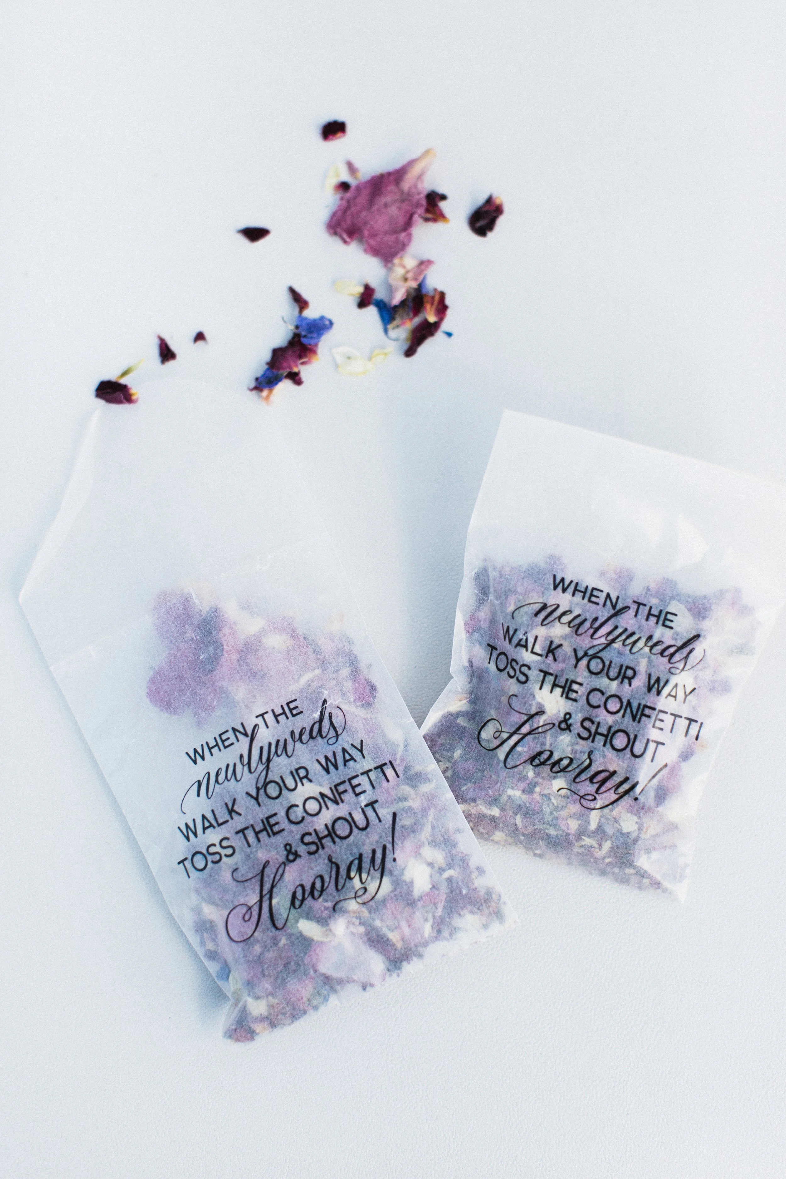 MeganandGarrett:CommonDove:B75.jpg