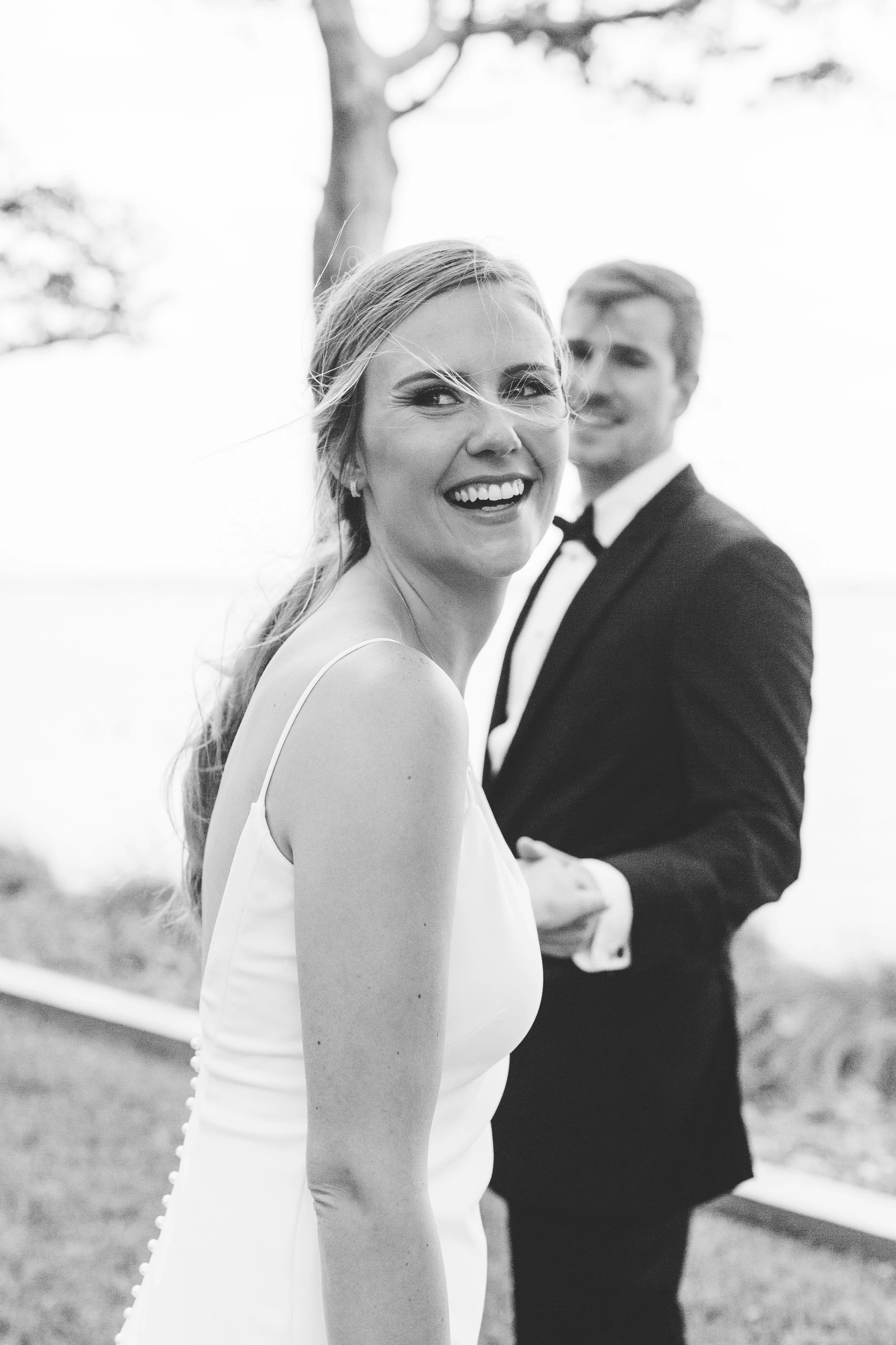 ShelbyandAndrew::CommonDove::D73.jpg