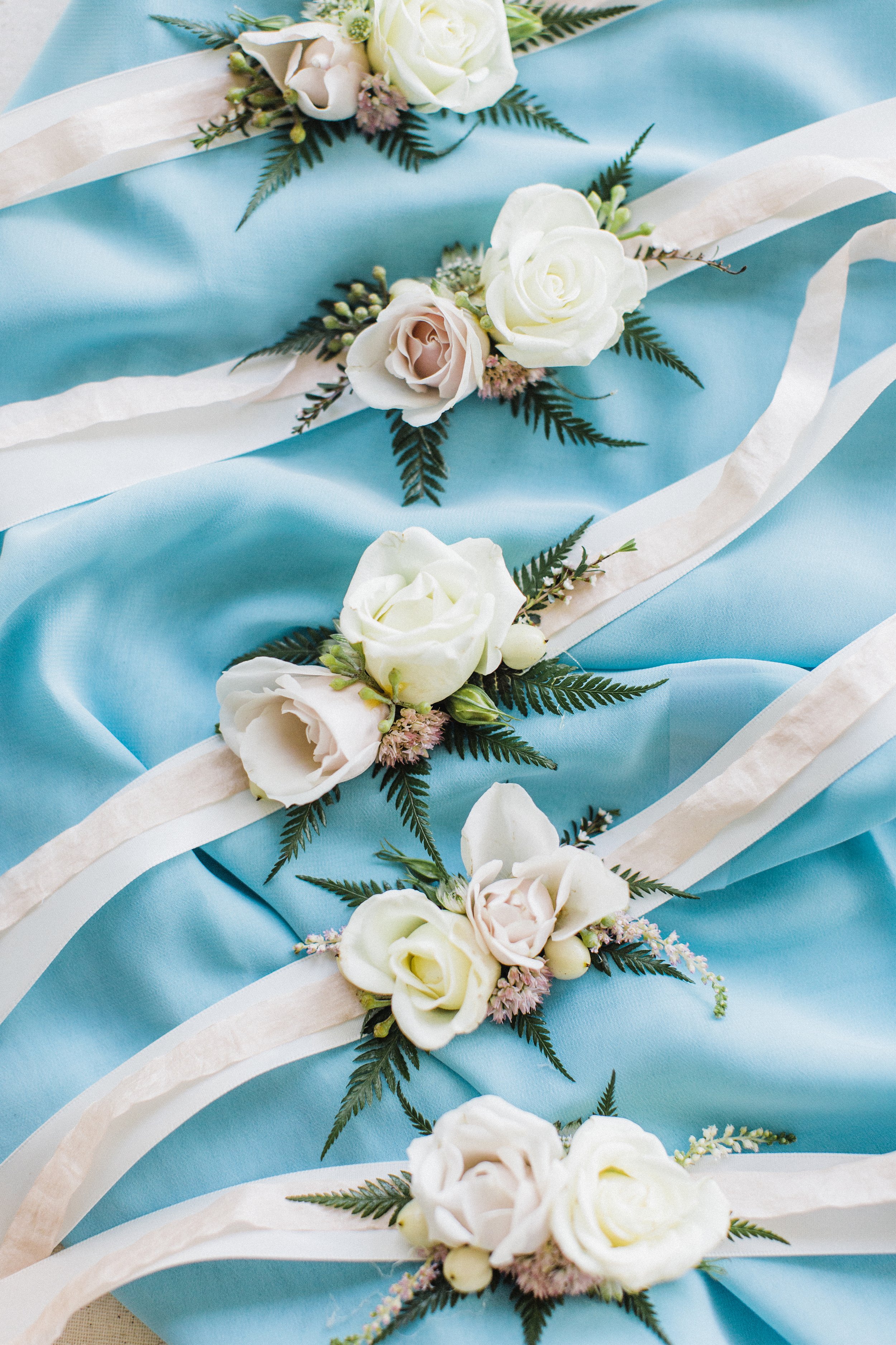 MeganandGarrett:CommonDove:B67.jpg