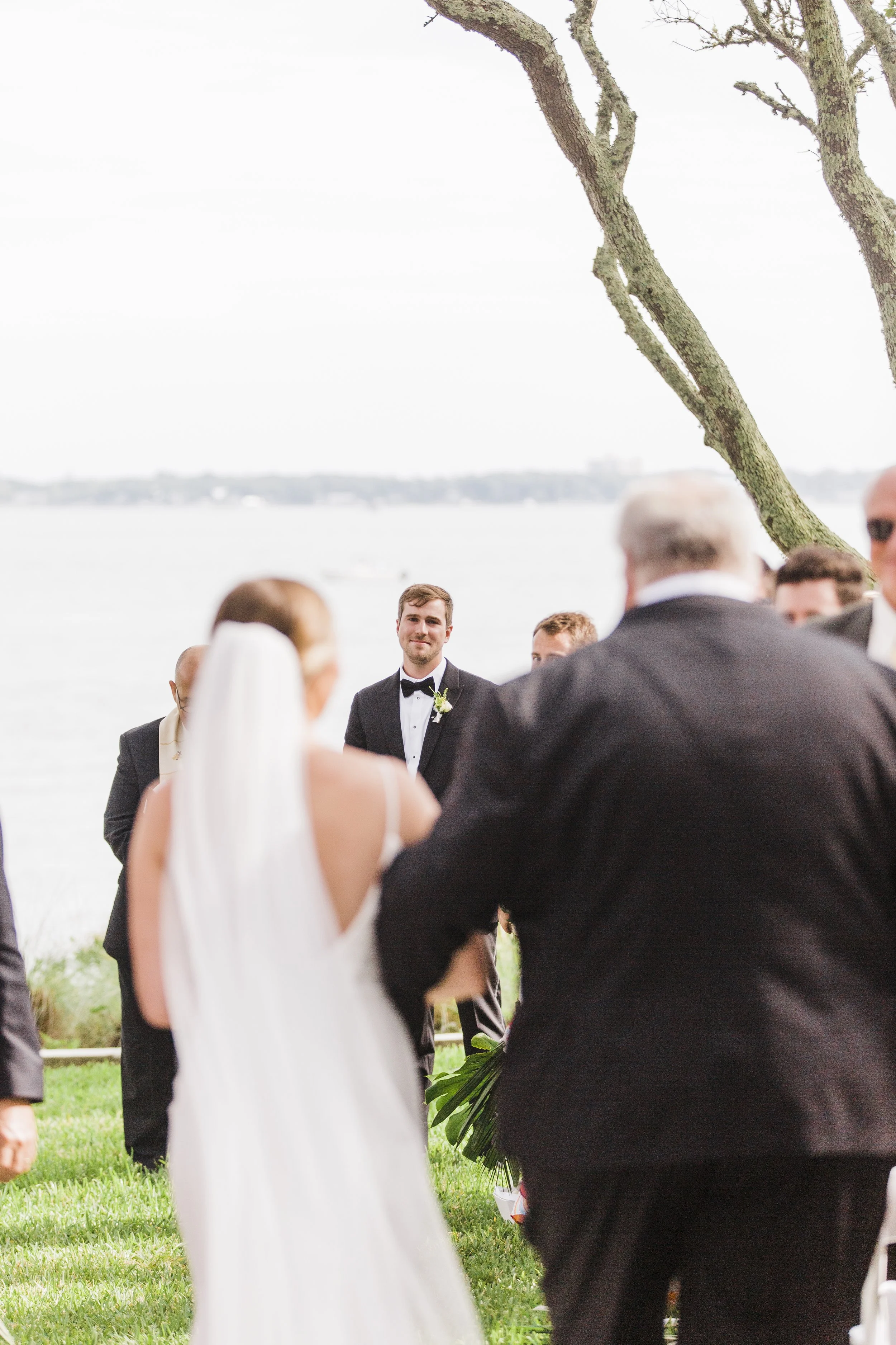 ShelbyandAndrew::CommonDove::A58.jpg