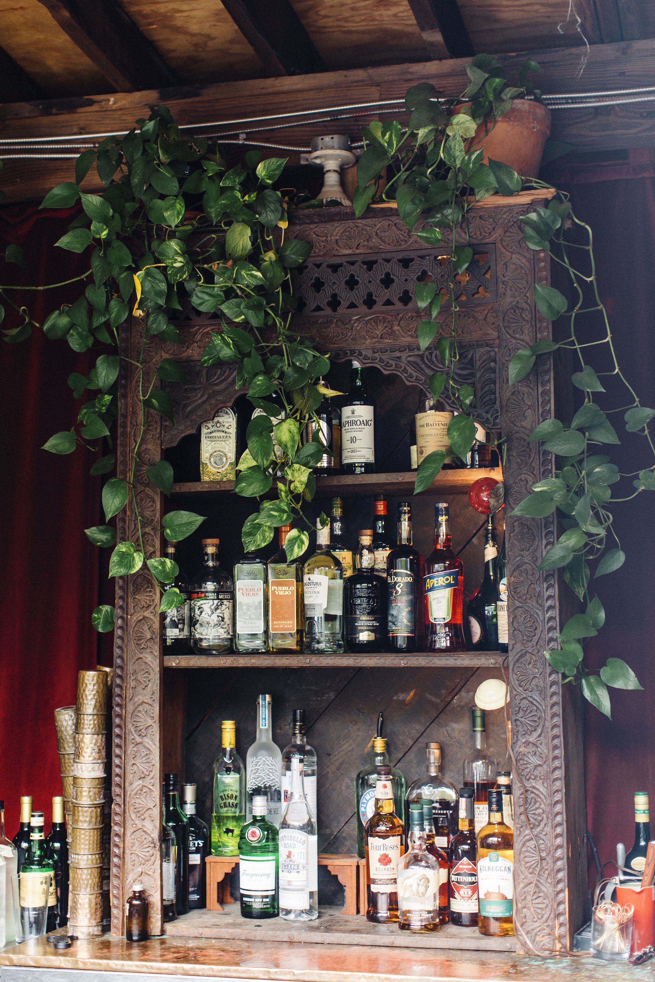Kelsey+Joe-CommonDove275.jpg