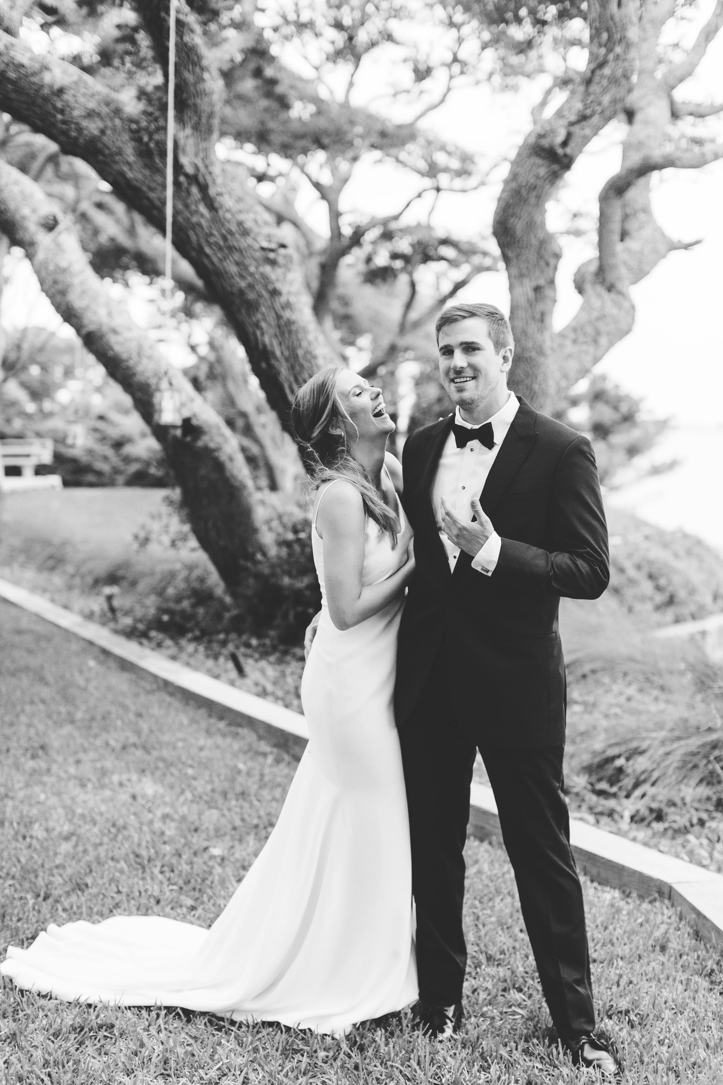 ShelbyandAndrew::CommonDove::D107.jpg