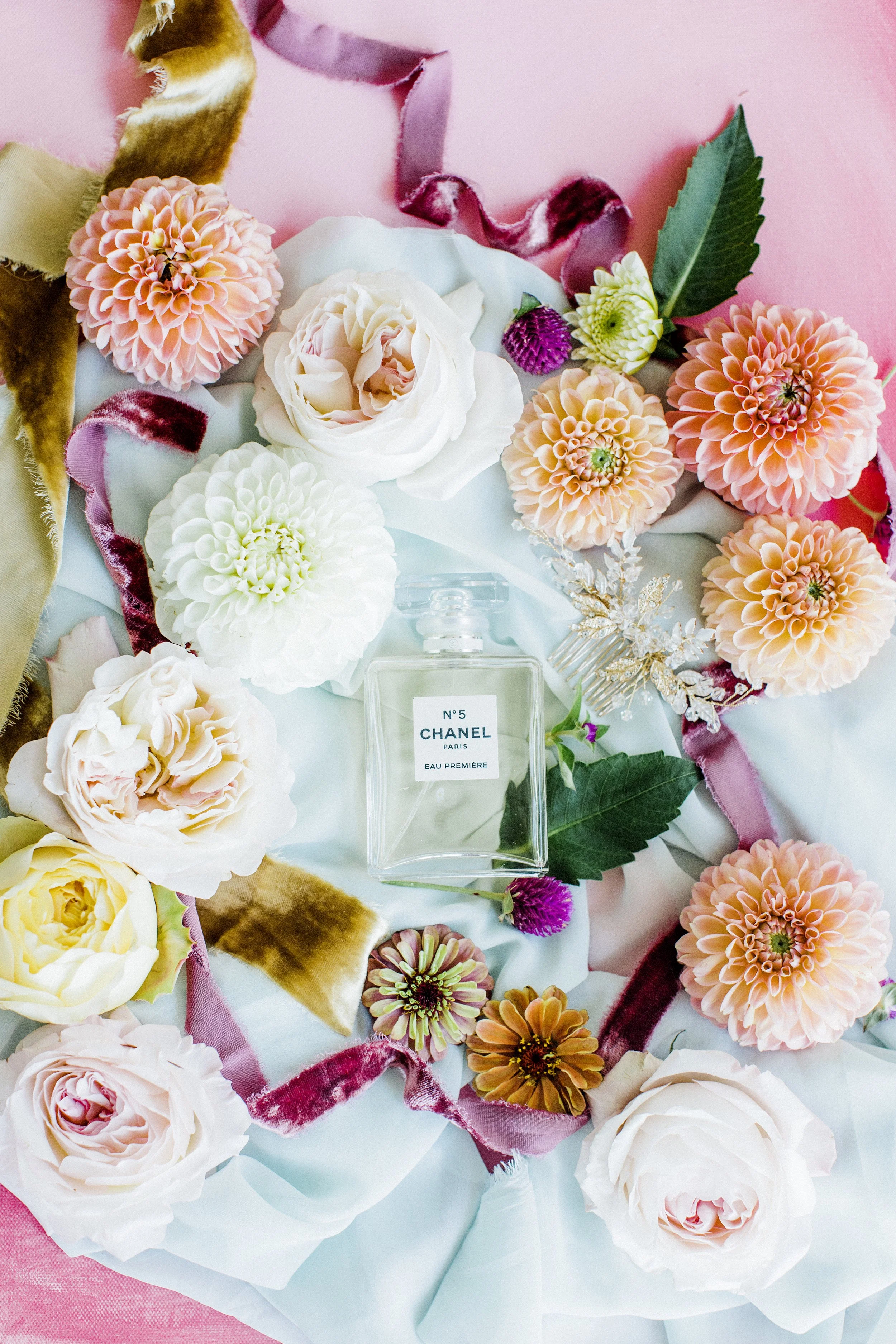 MeganandGarrett:CommonDove:B51.jpg