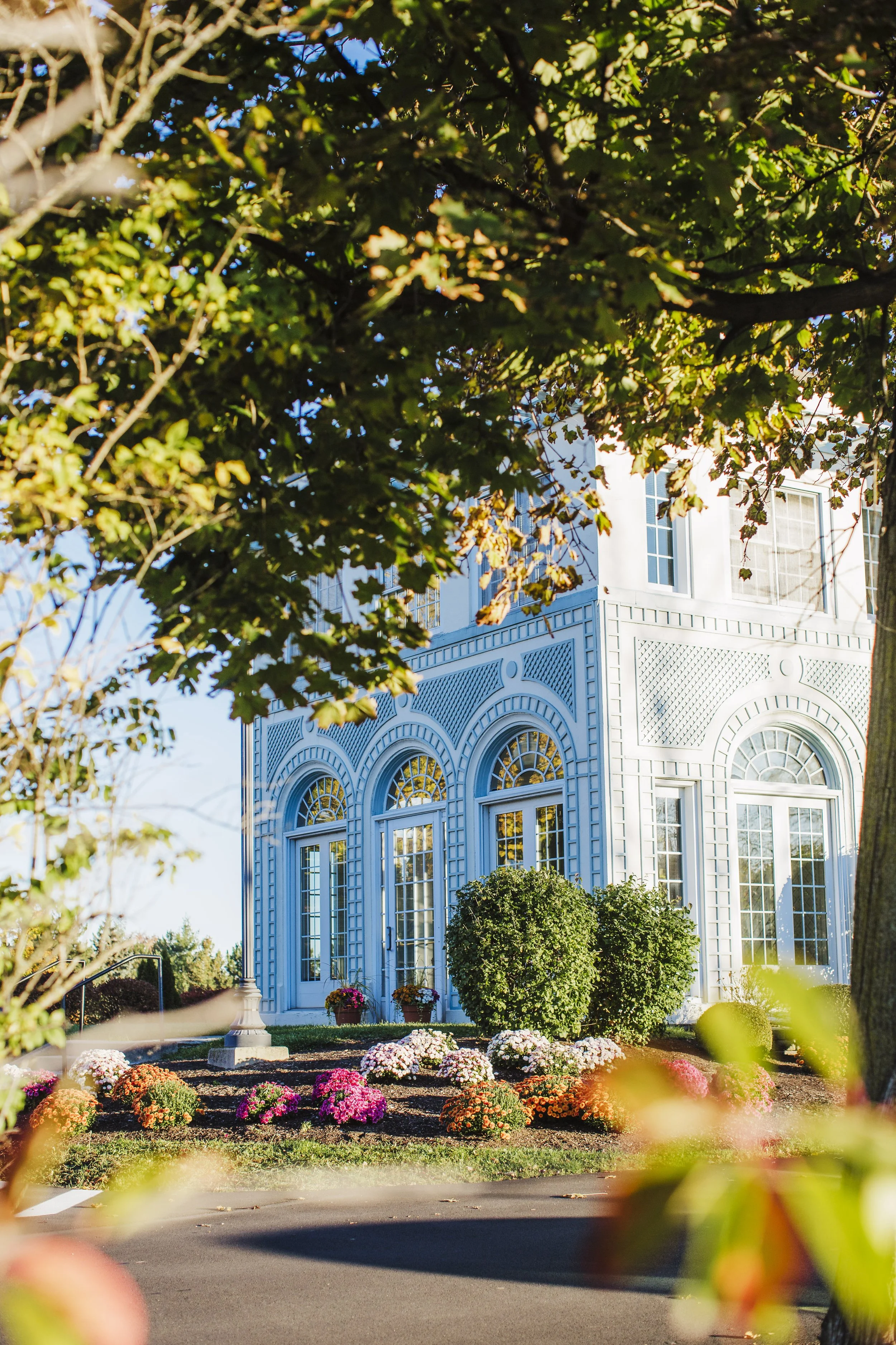 Daemen University