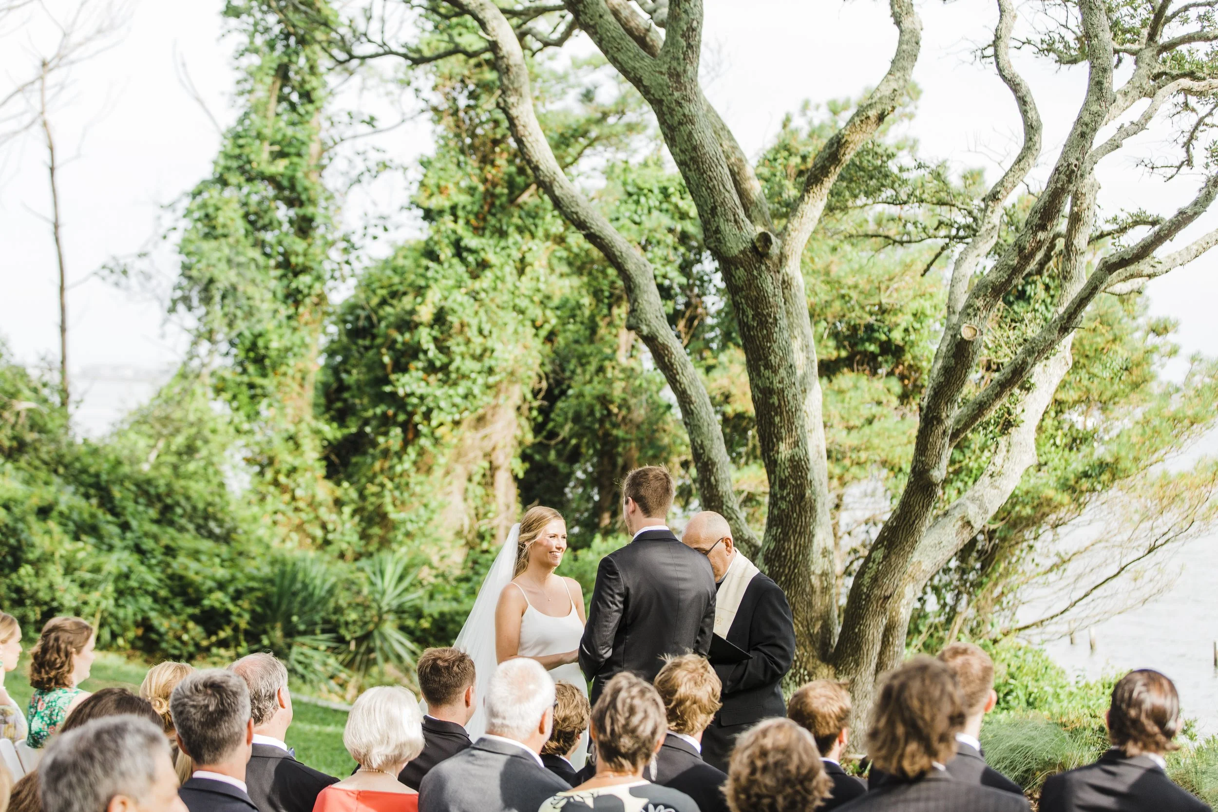 ShelbyandAndrew::CommonDove::A82.jpg