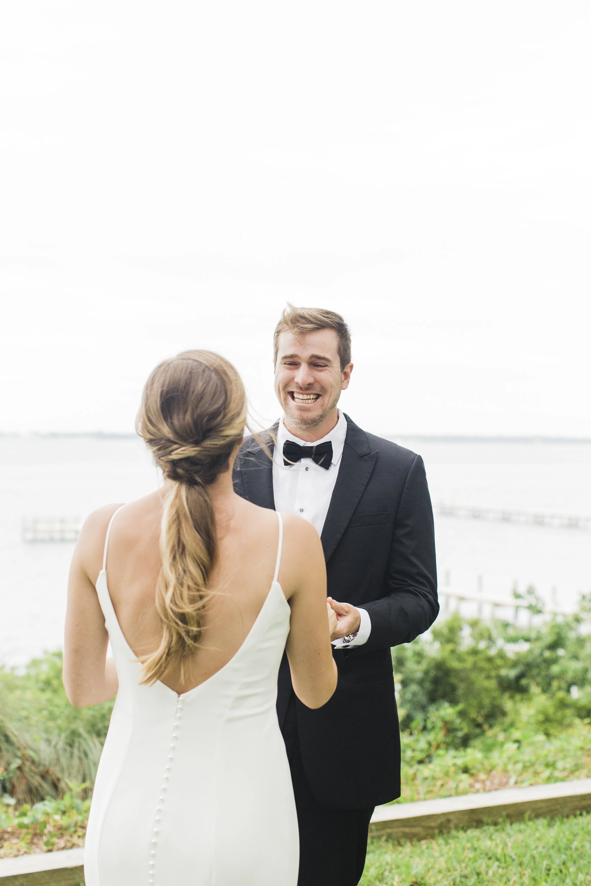 ShelbyandAndrew::CommonDove::D15.jpg