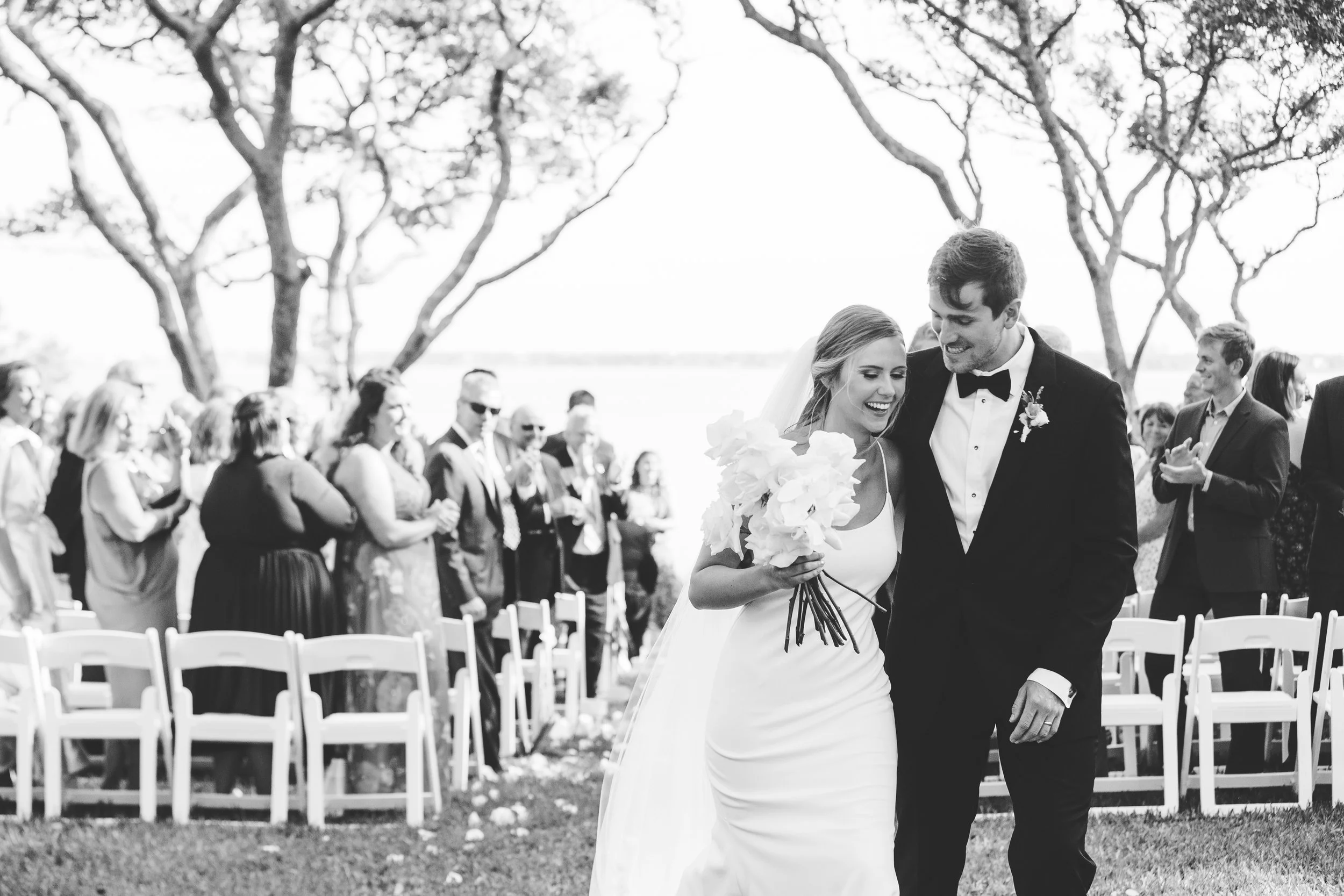 ShelbyandAndrew::CommonDove::A144.jpg
