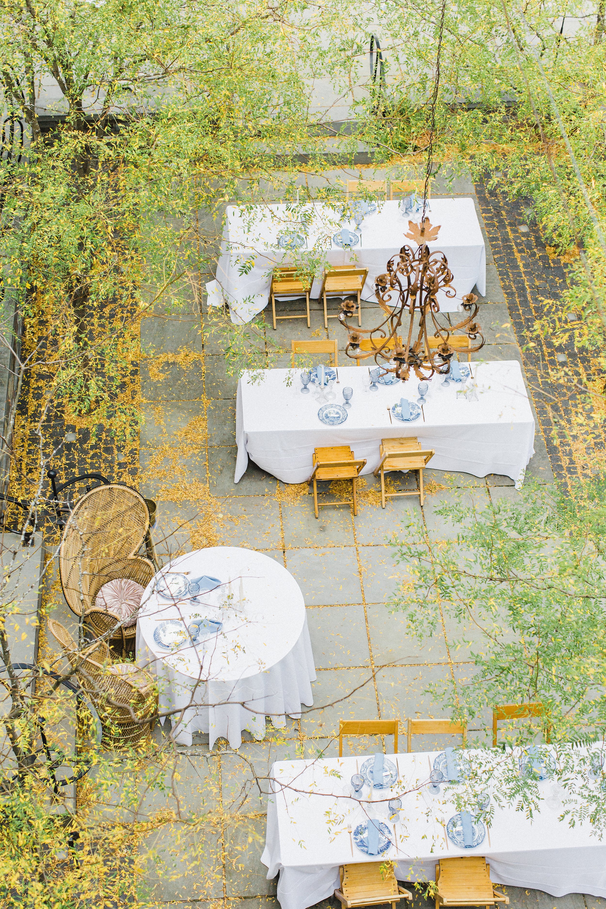 Kelsey+Joe-CommonDove94.jpg