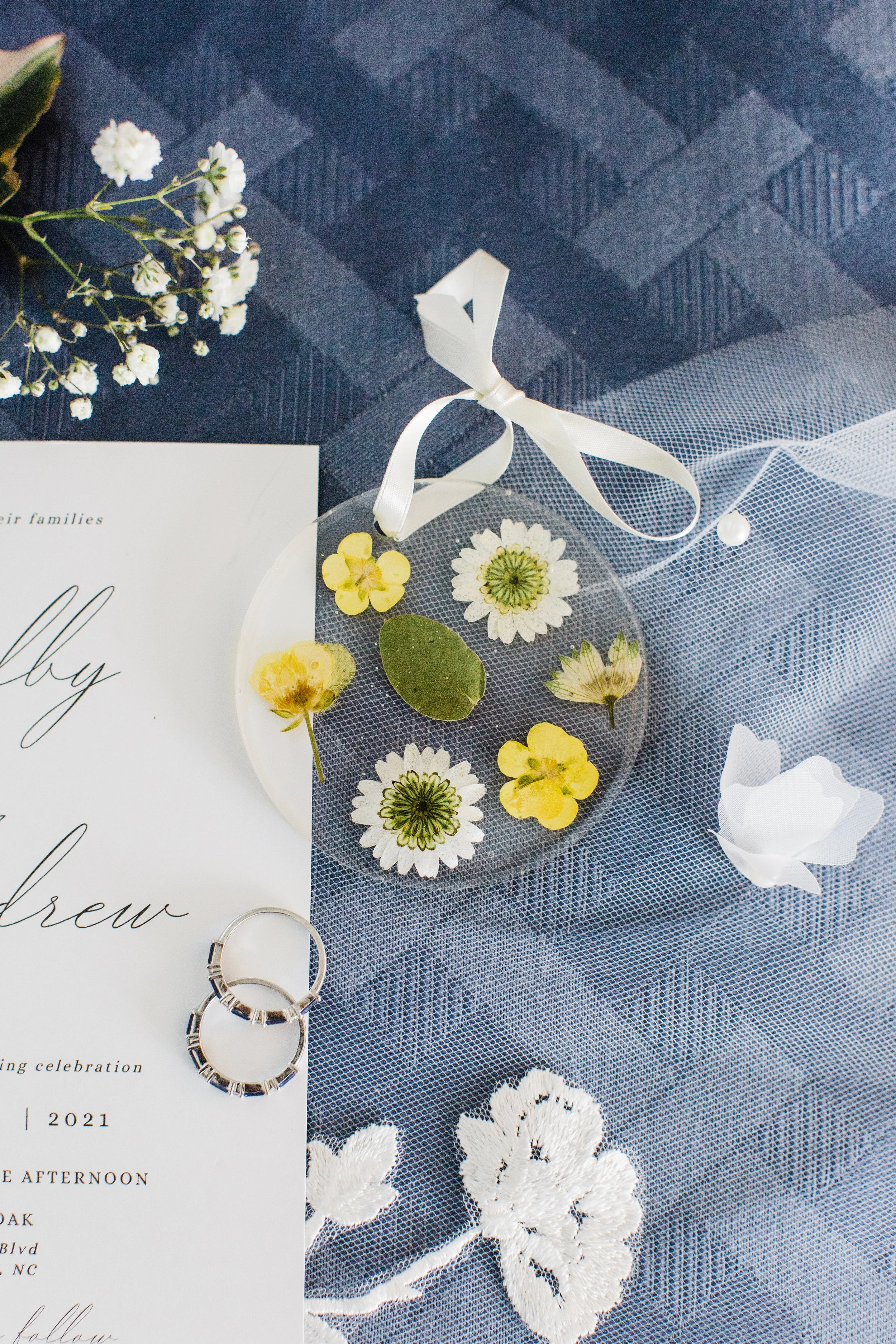 ShelbyandAndrew::CommonDove::B30.jpg
