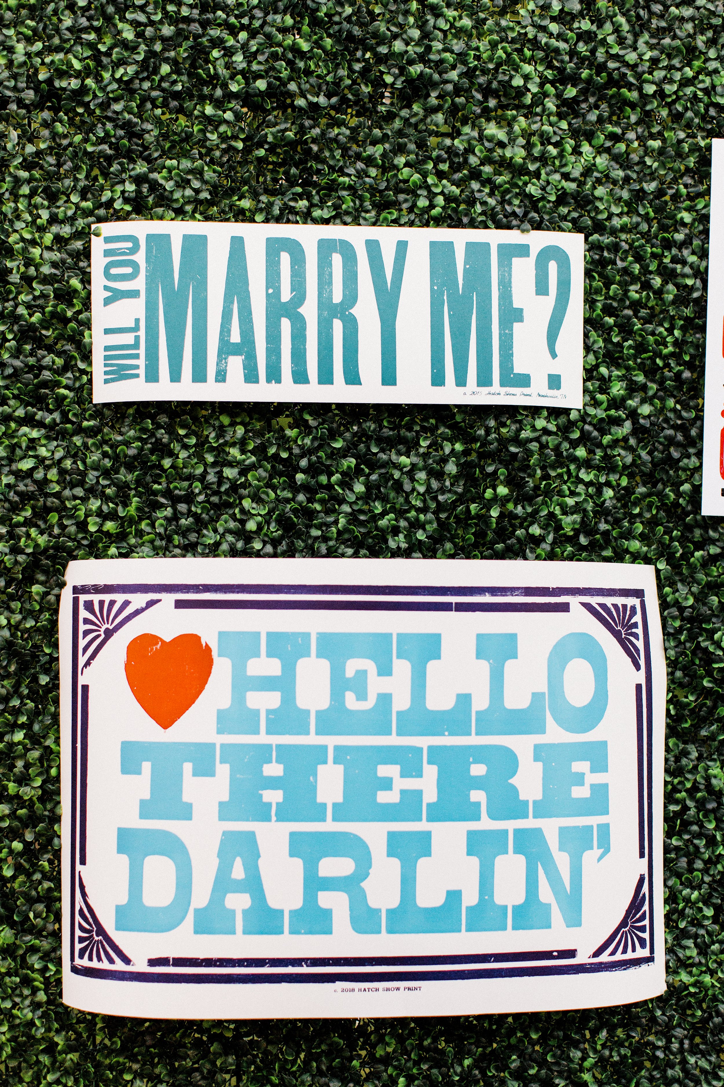 MeganandGarrett:CommonDove:B195.jpg