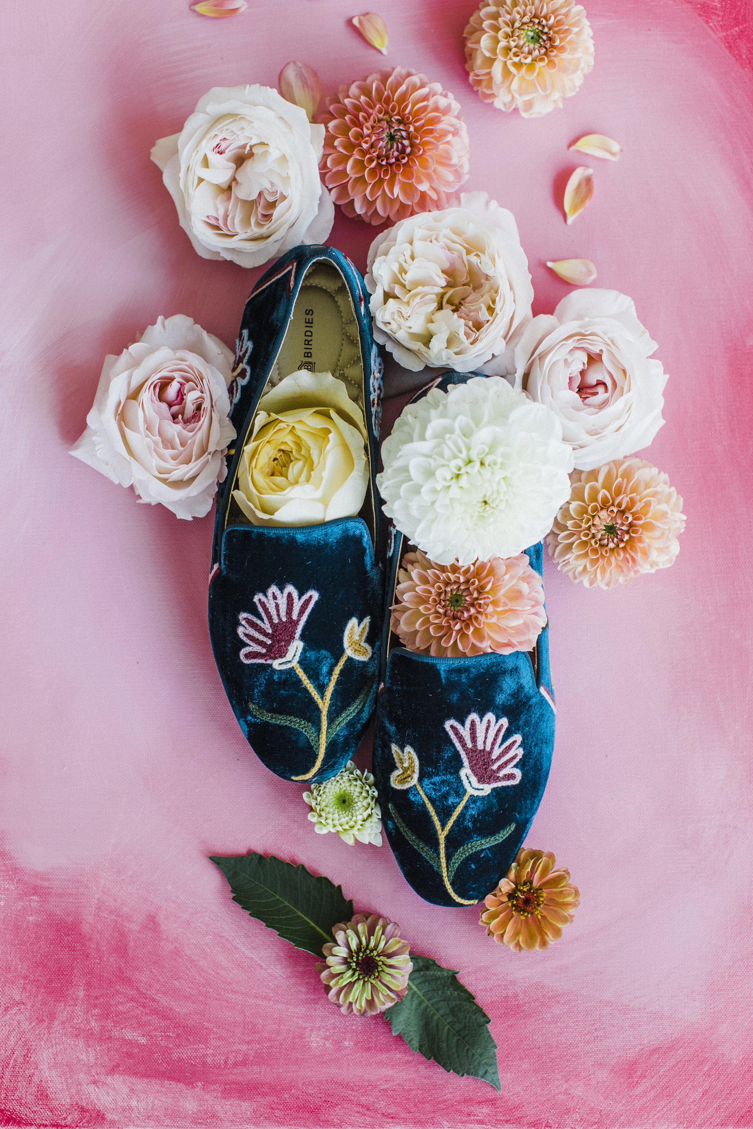 MeganandGarrett:CommonDove:B53.jpg