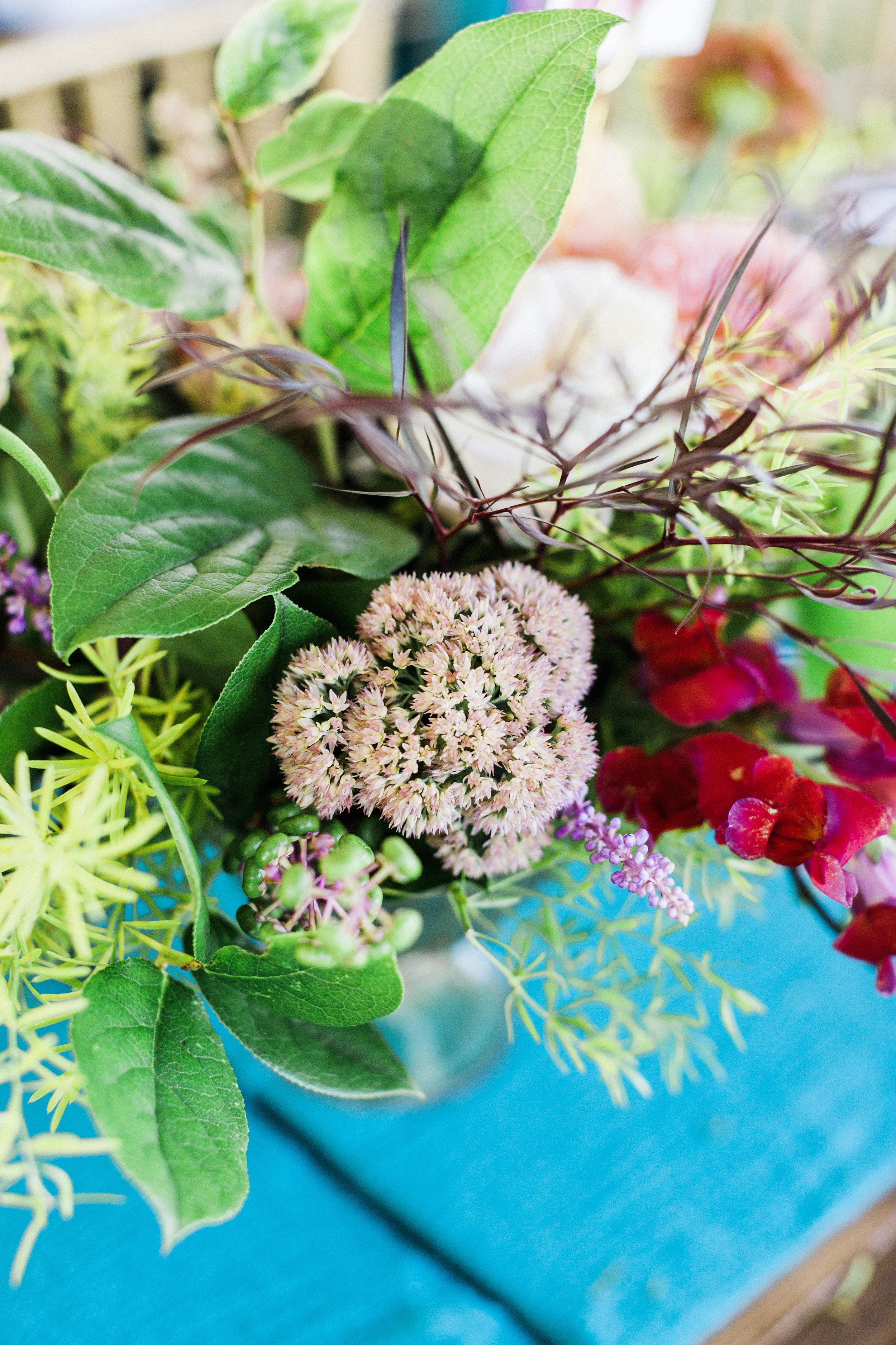 MeganandGarrett:CommonDove:B141.jpg