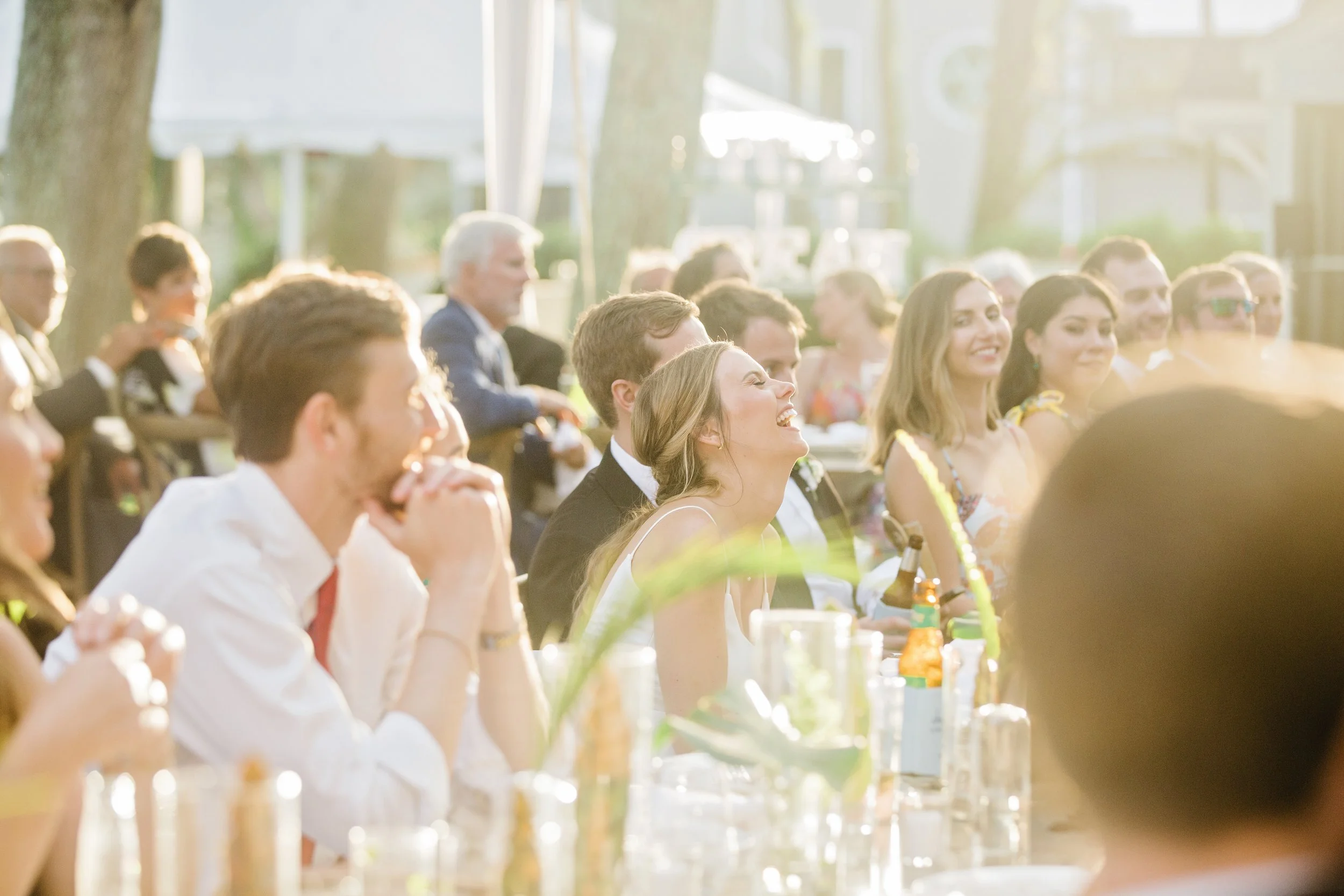 ShelbyandAndrew::CommonDove::E50.jpg