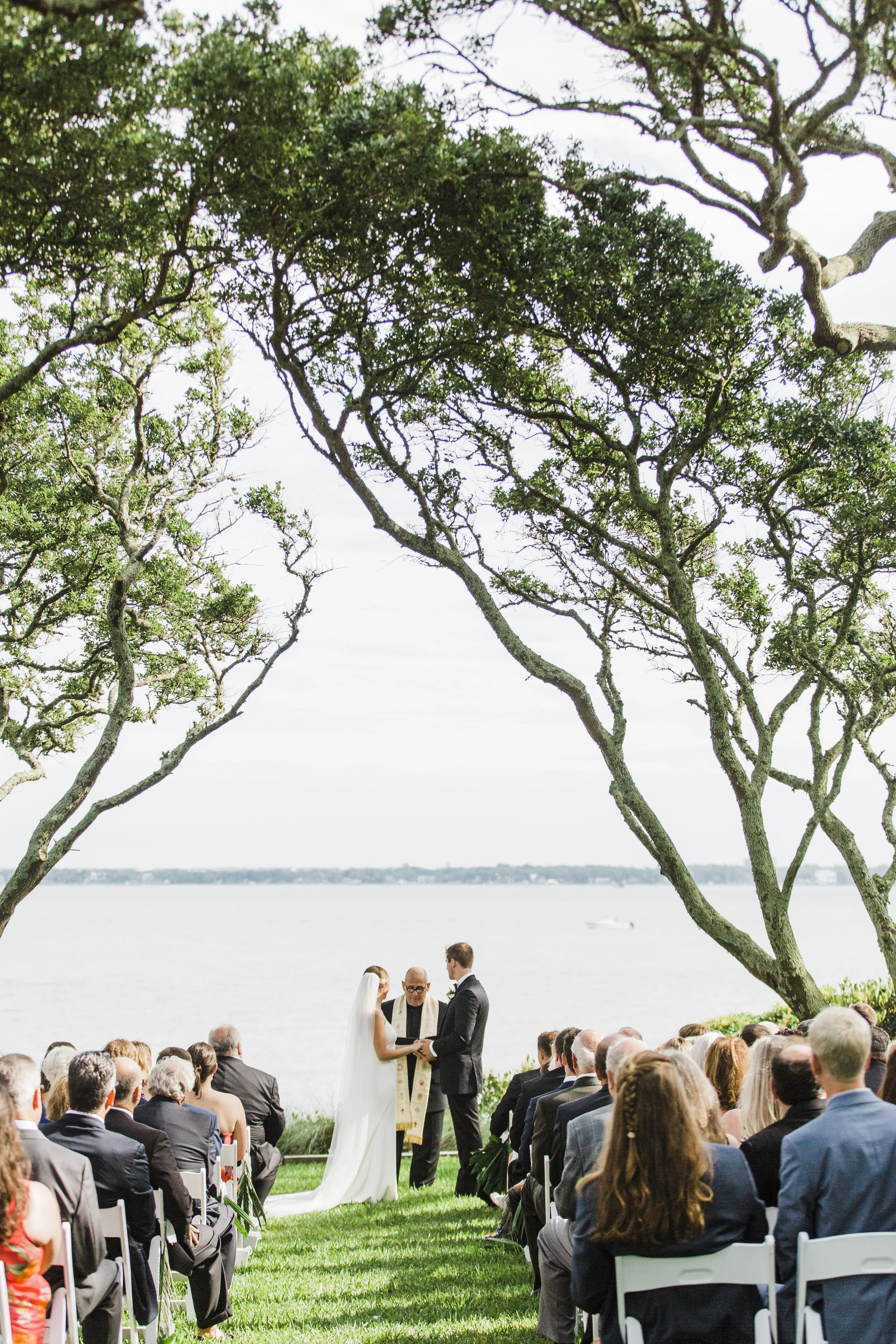ShelbyandAndrew::CommonDove::A75.jpg