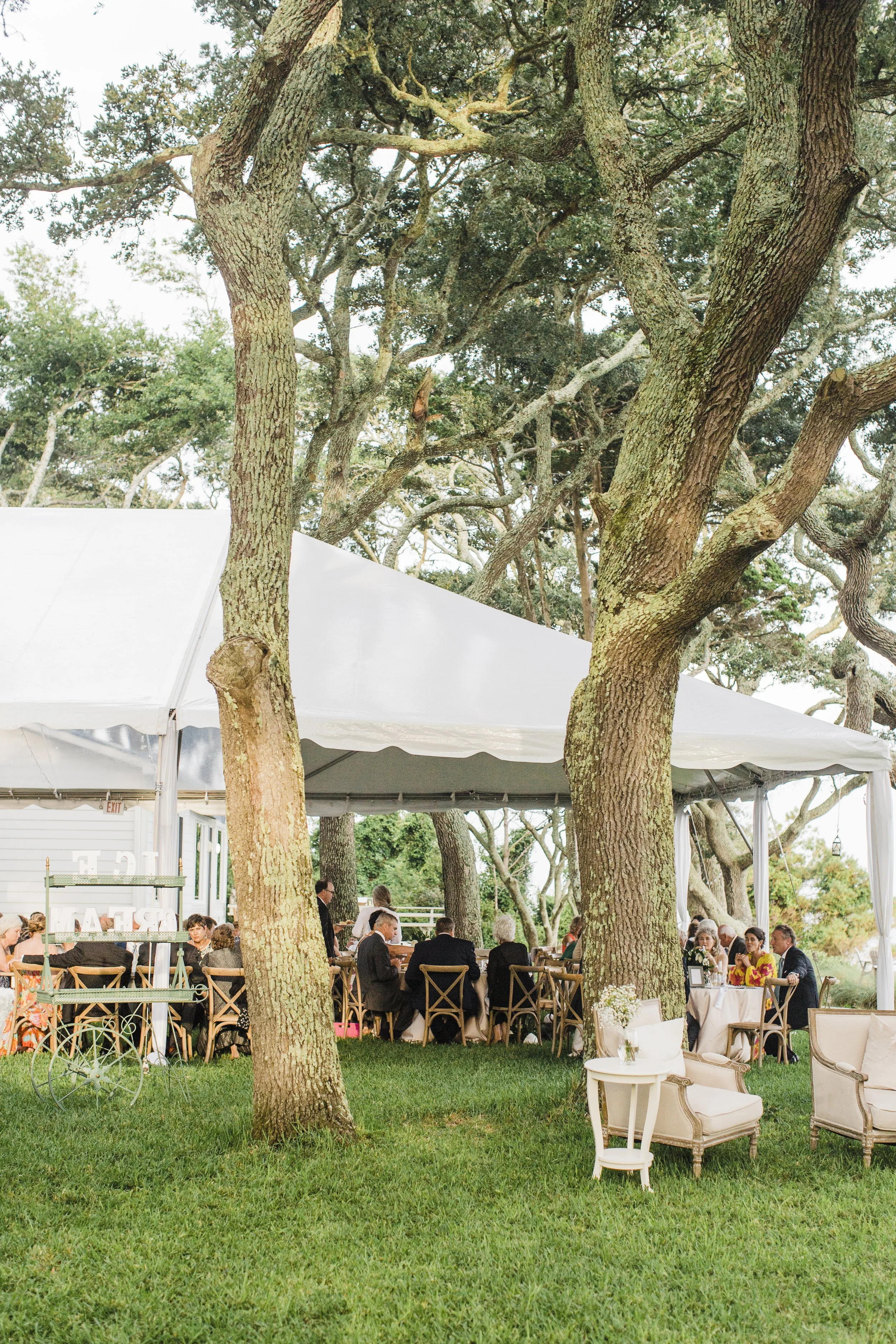 ShelbyandAndrew::CommonDove::E20.jpg