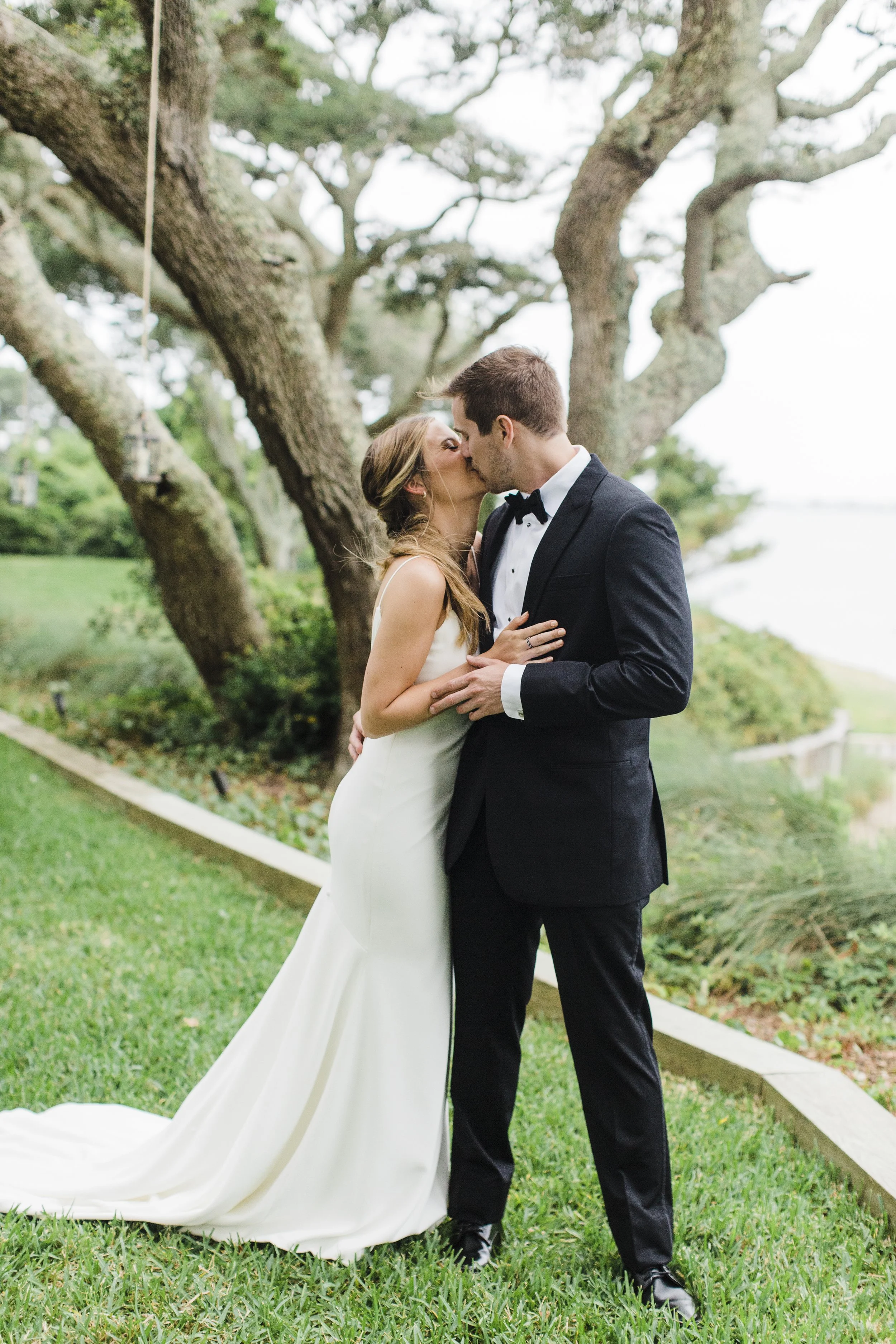 ShelbyandAndrew::CommonDove::D110.jpg