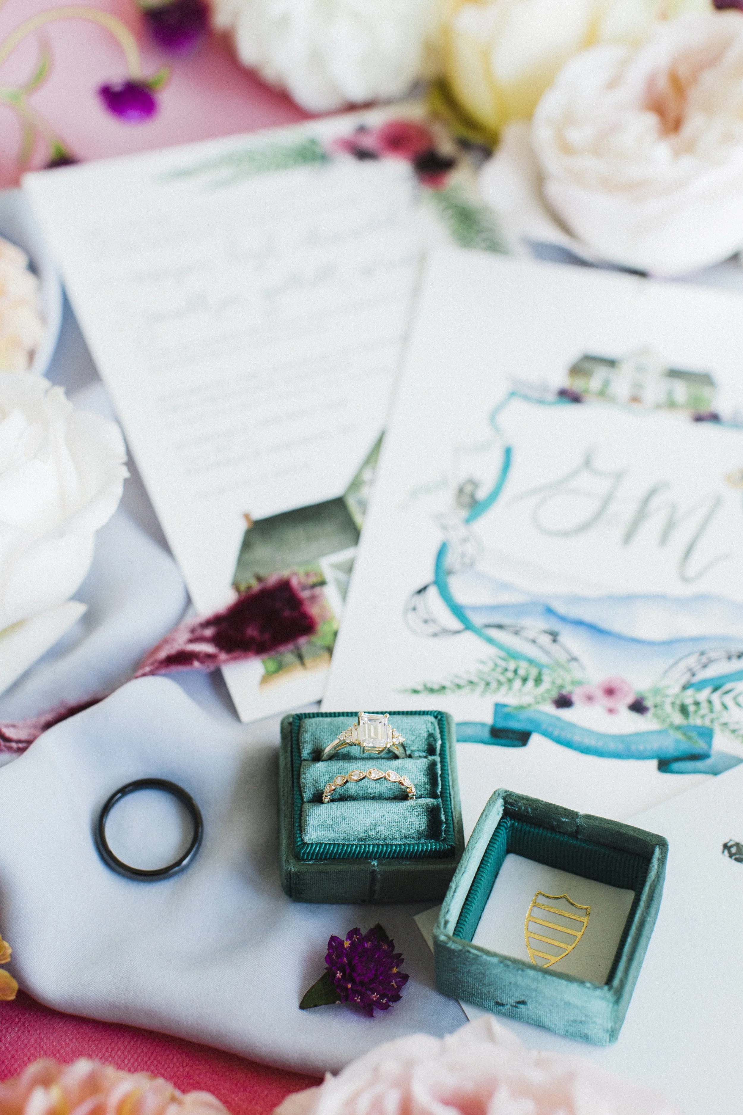 MeganandGarrett:CommonDove:B35.jpg